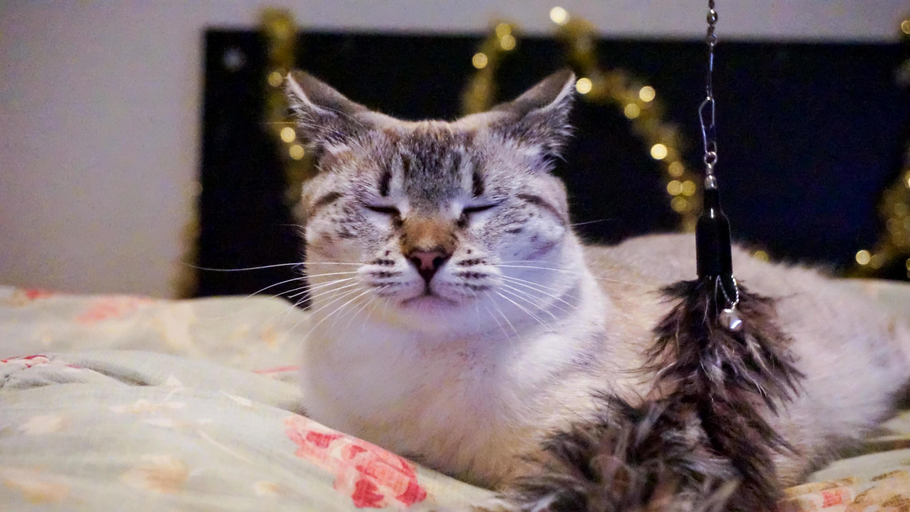 When You Just Finished Your Work and About to Take a Break, but Your Boss Comes by Your Desk with More Work