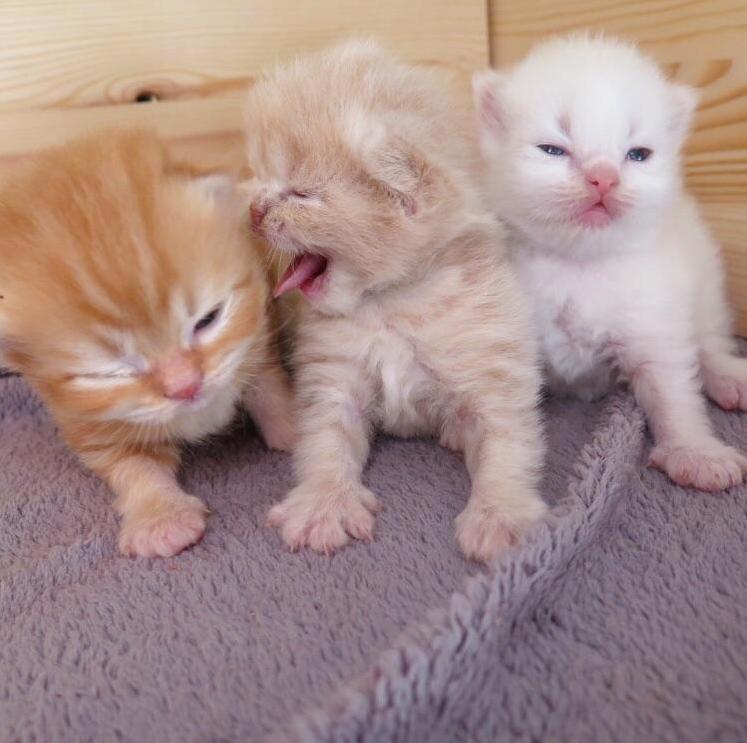 When Your Brother Still Hasnt Opened Both Eyes Yet and You Cant Help but Laugh