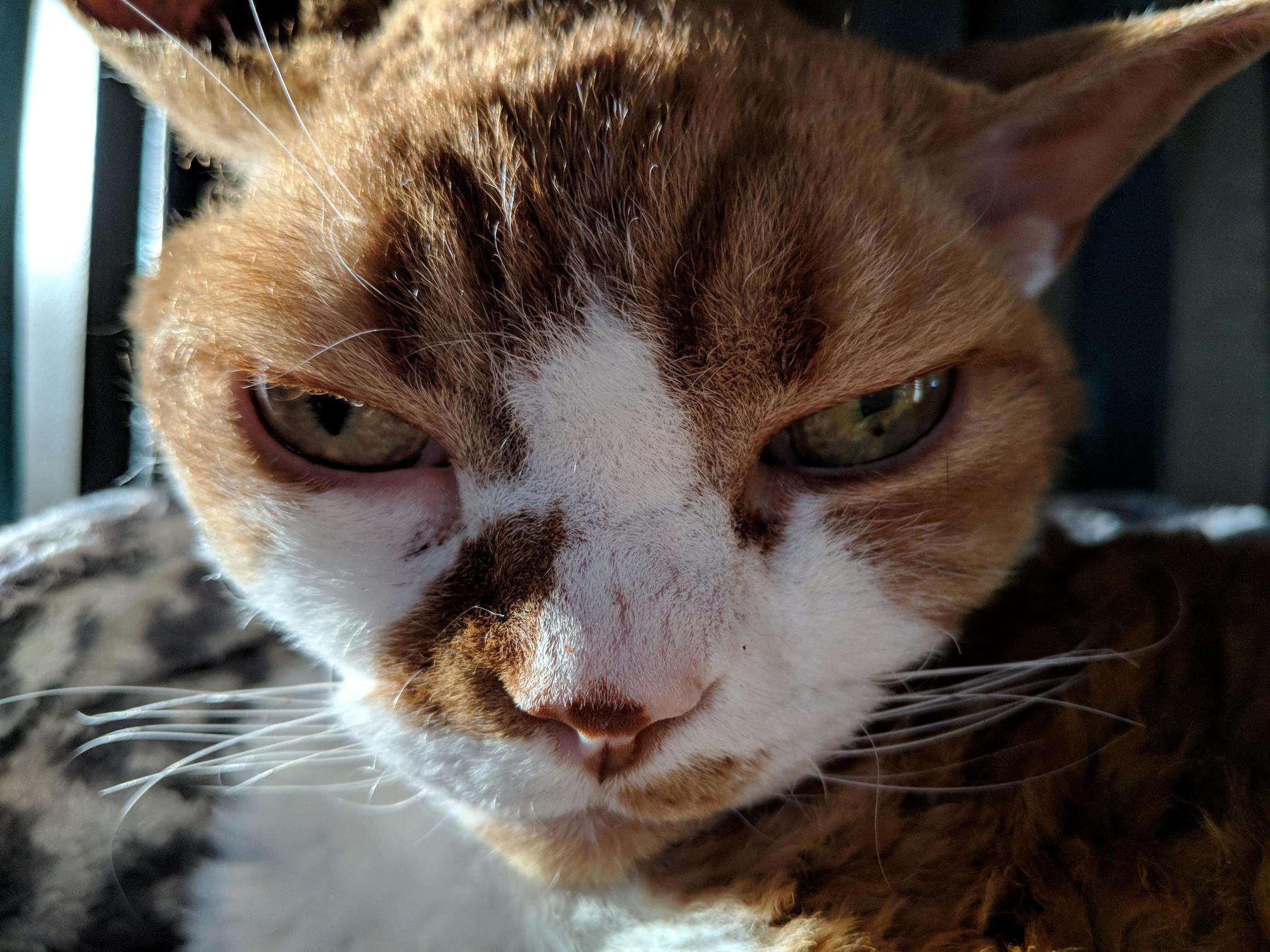 Who Disturbs My Slumber.