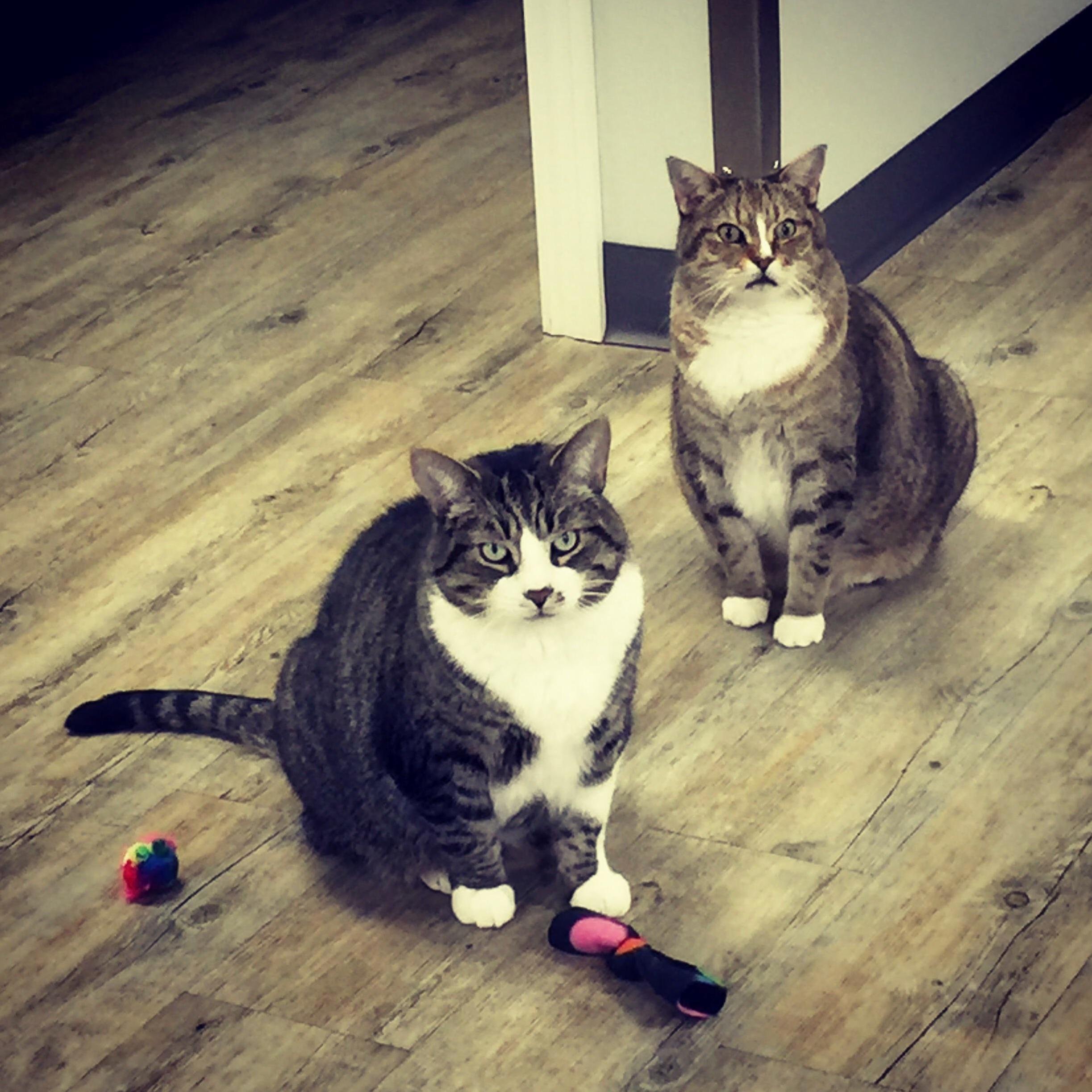 Why Arent You Feeding Us