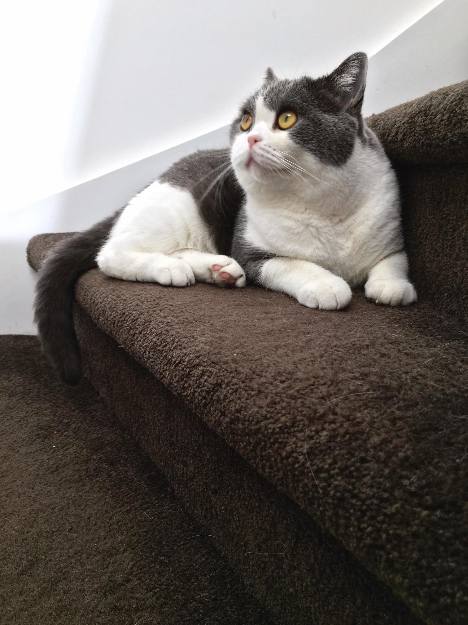 Working on His Modelling Poses