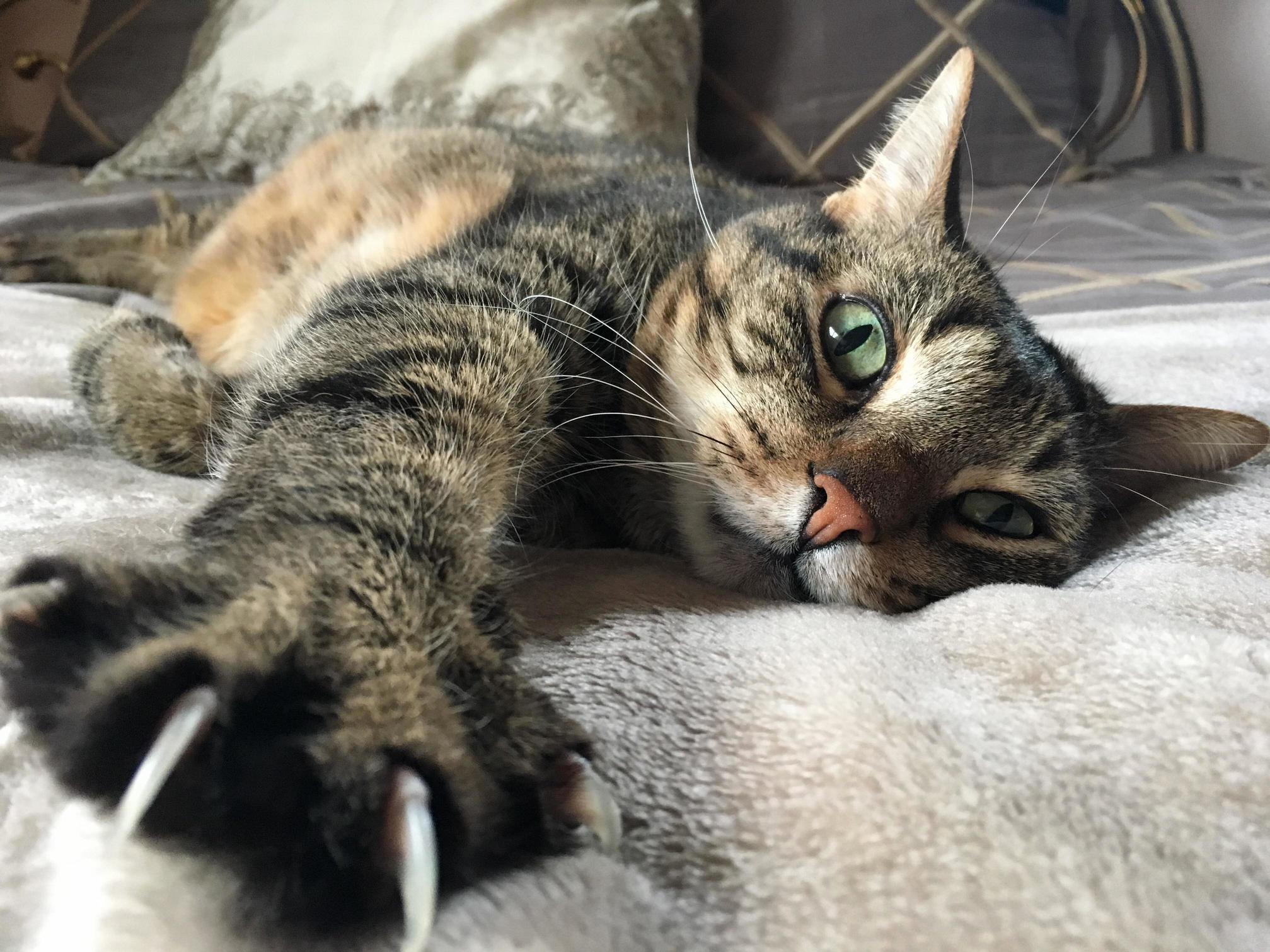 Somebodys Got a Case of the Mondays!