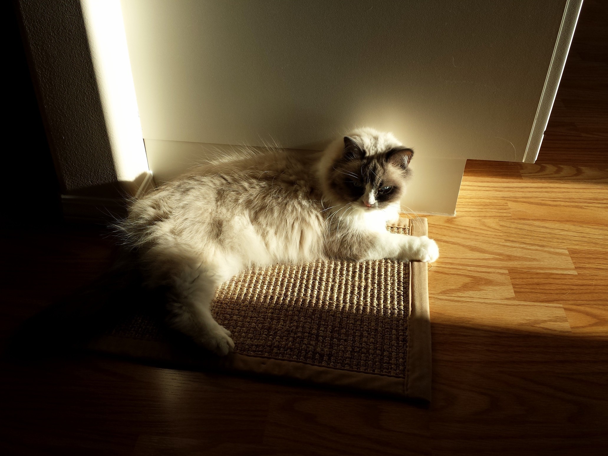 10 Yo Heidi Just Finished Major Dental Surgery Today Heres Her When Shes Content