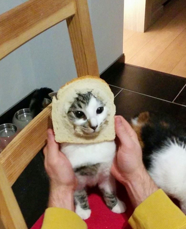 Am I Doing This Right