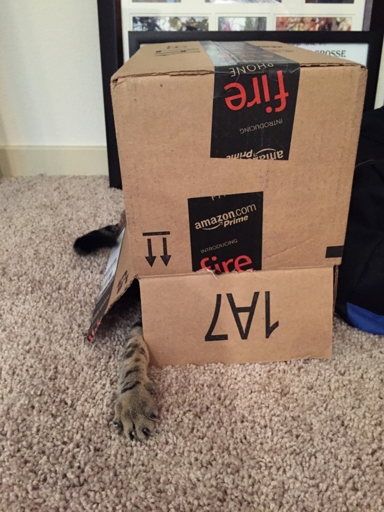 Amazon Boxes Come with Claws Now