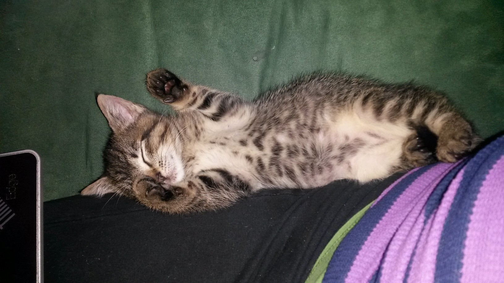 Belly