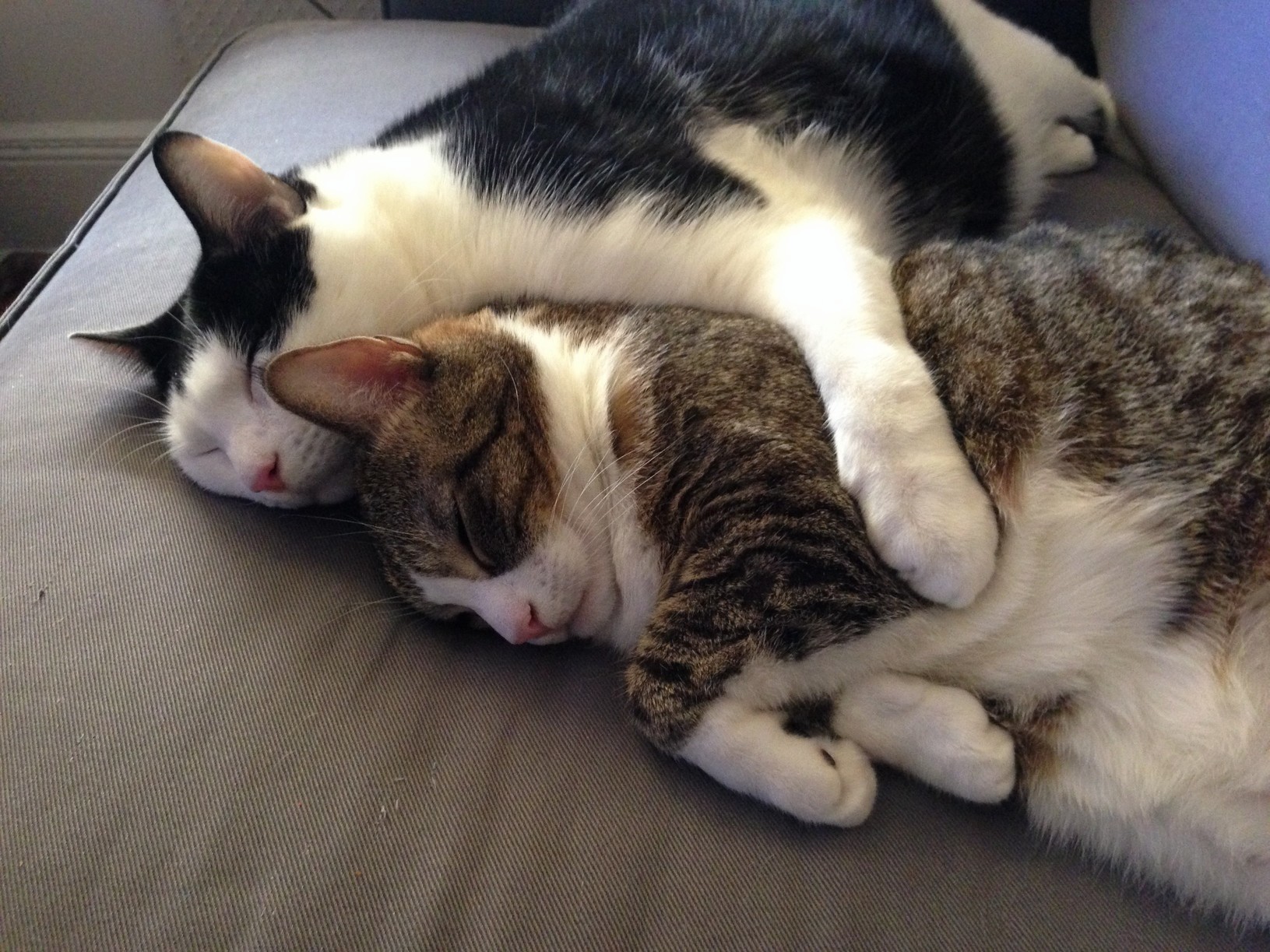 Big Spoon Little Spoon