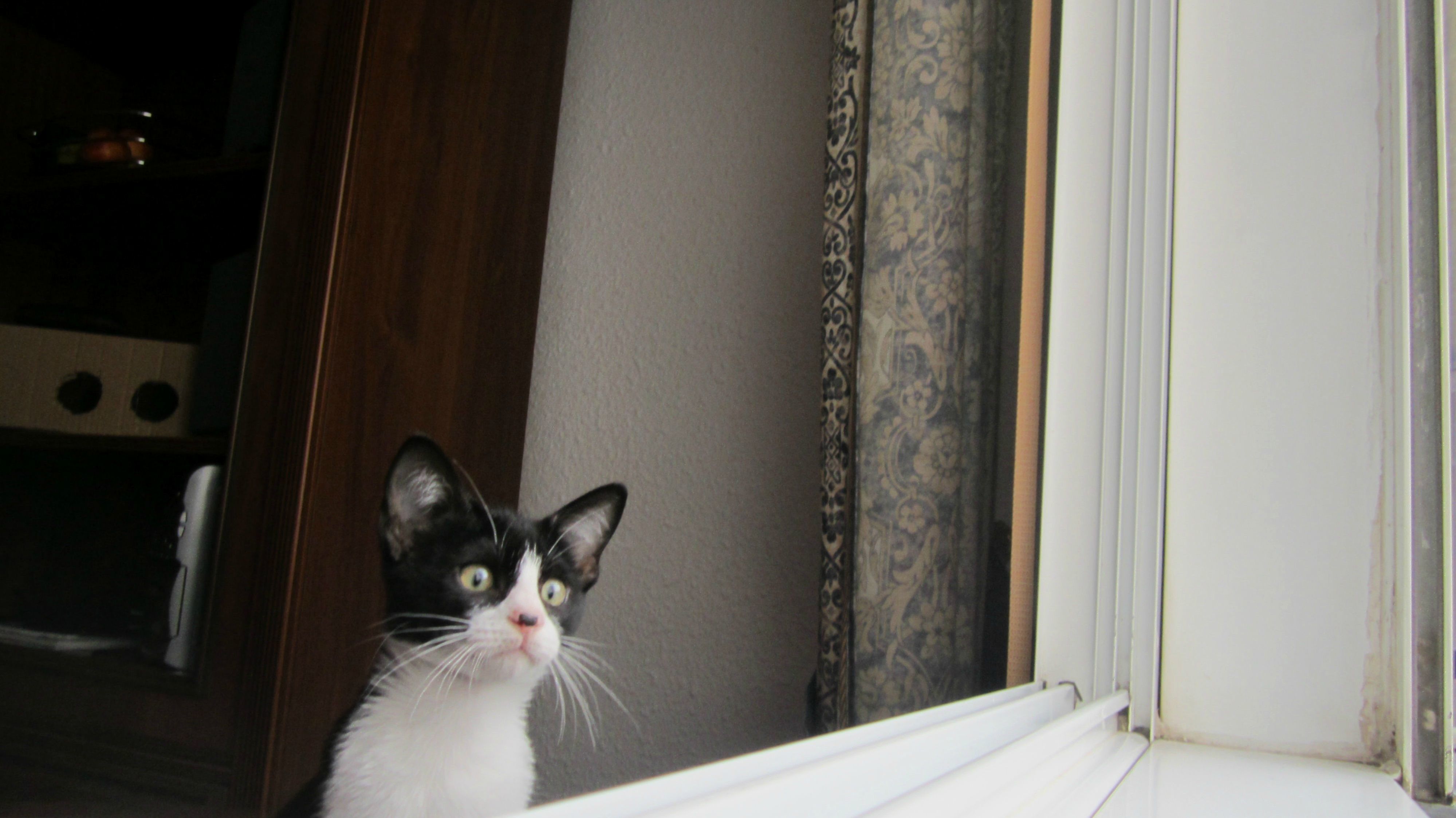 Birdwatching When He Was 6 Month Old