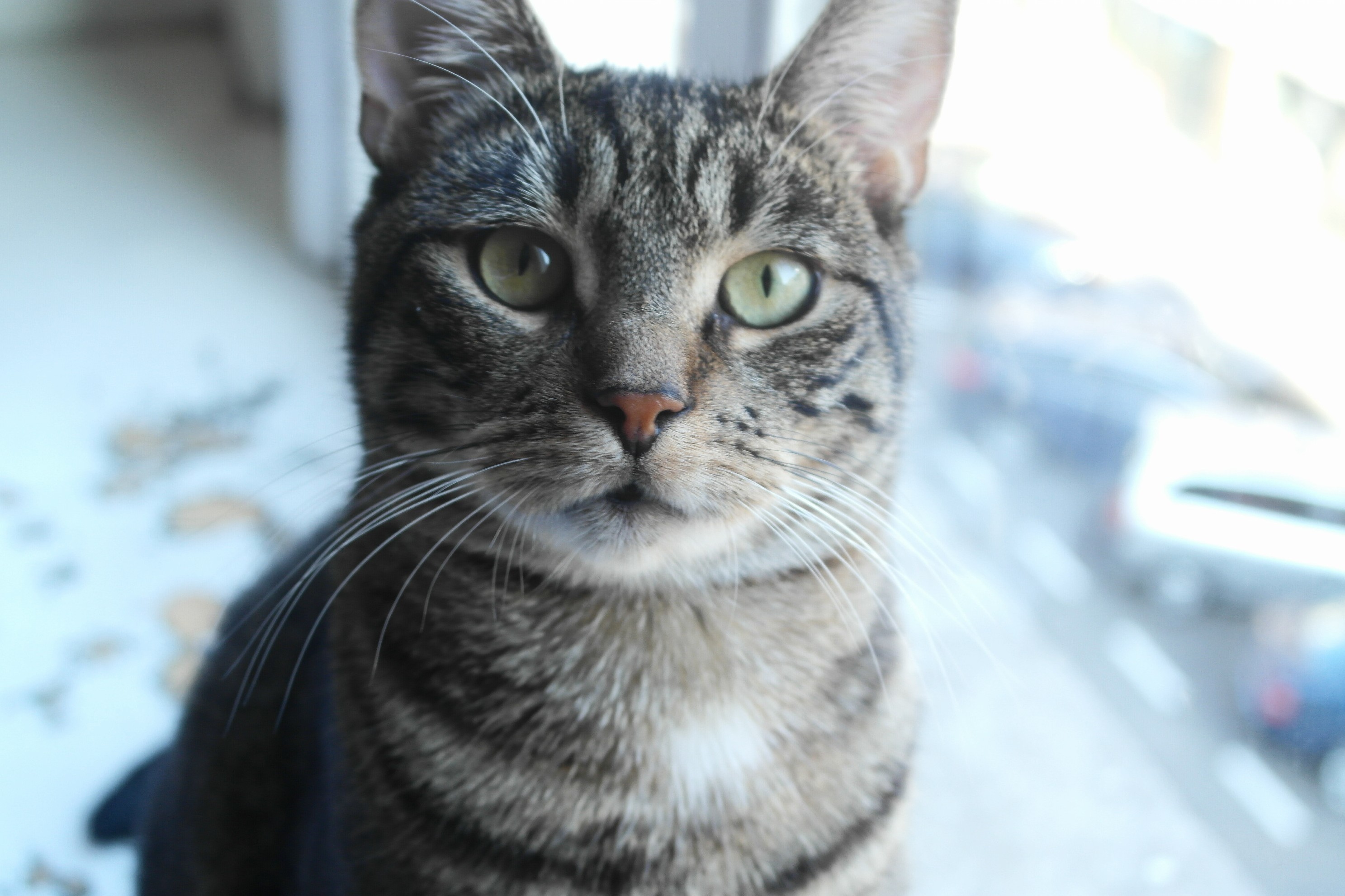 Bubs the Number One Man in My Life.