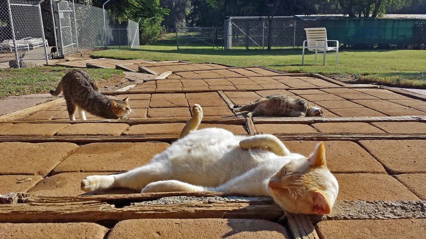 Catching Some Rays