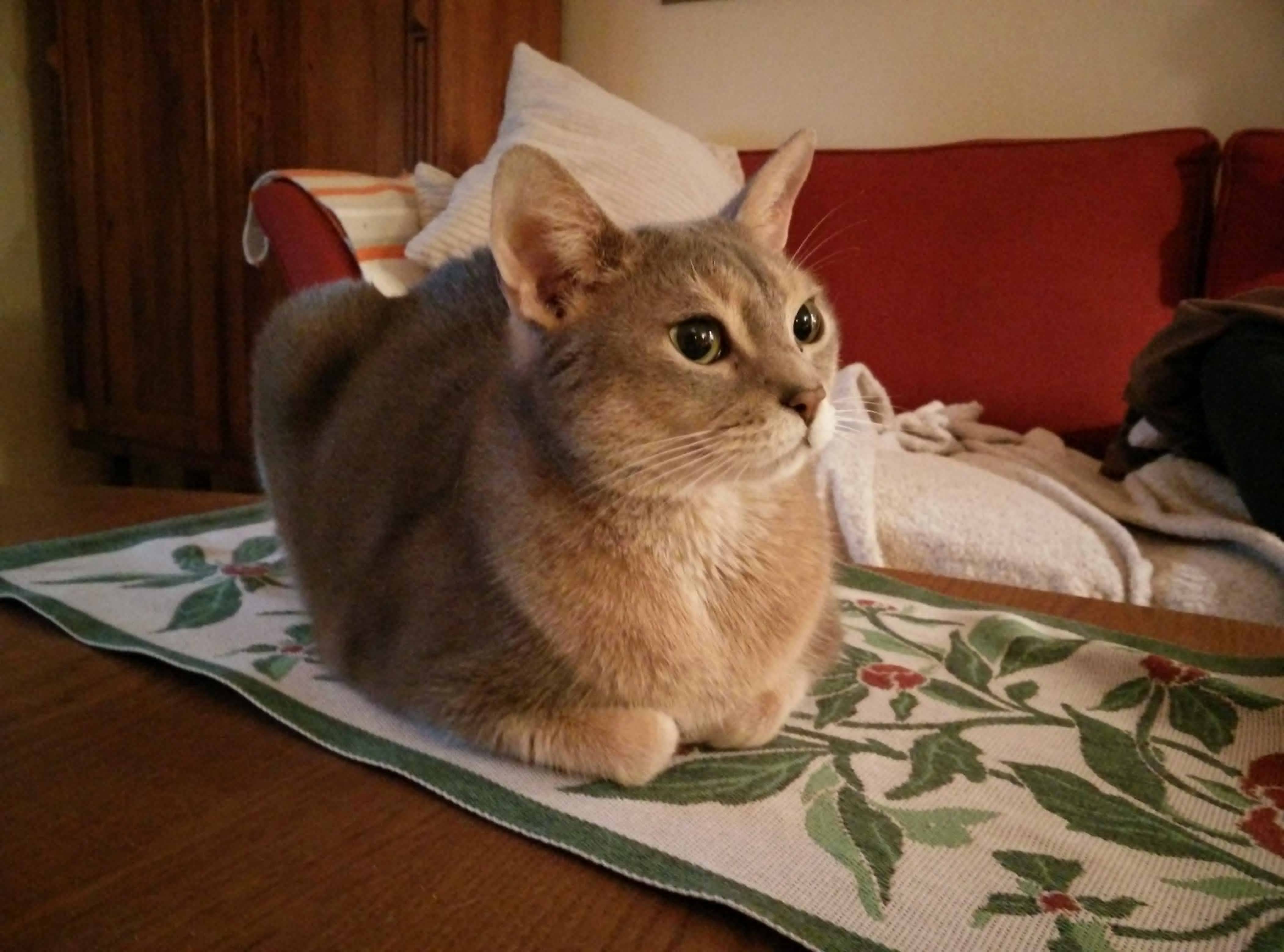 Center of Attention
