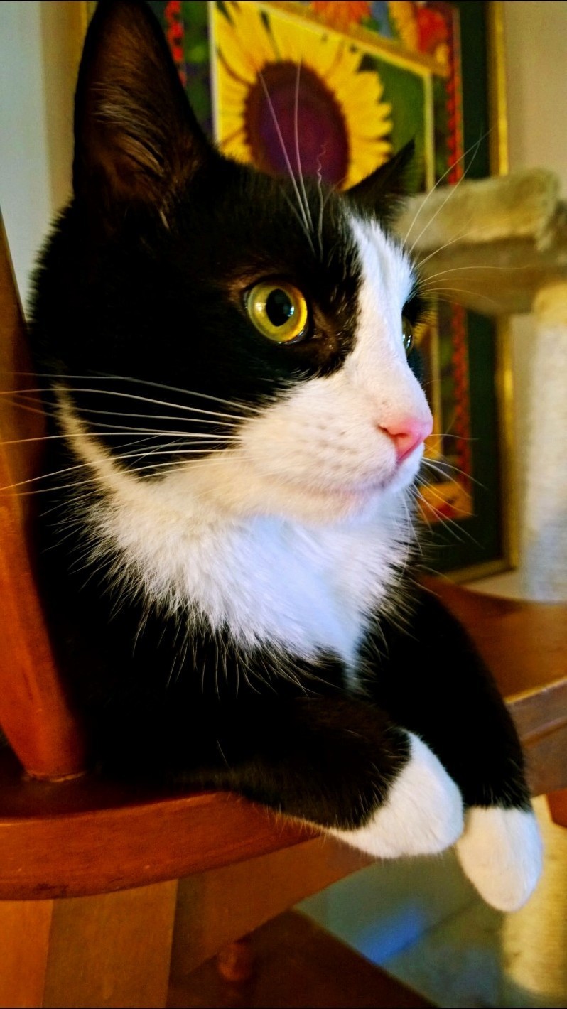 Charlie