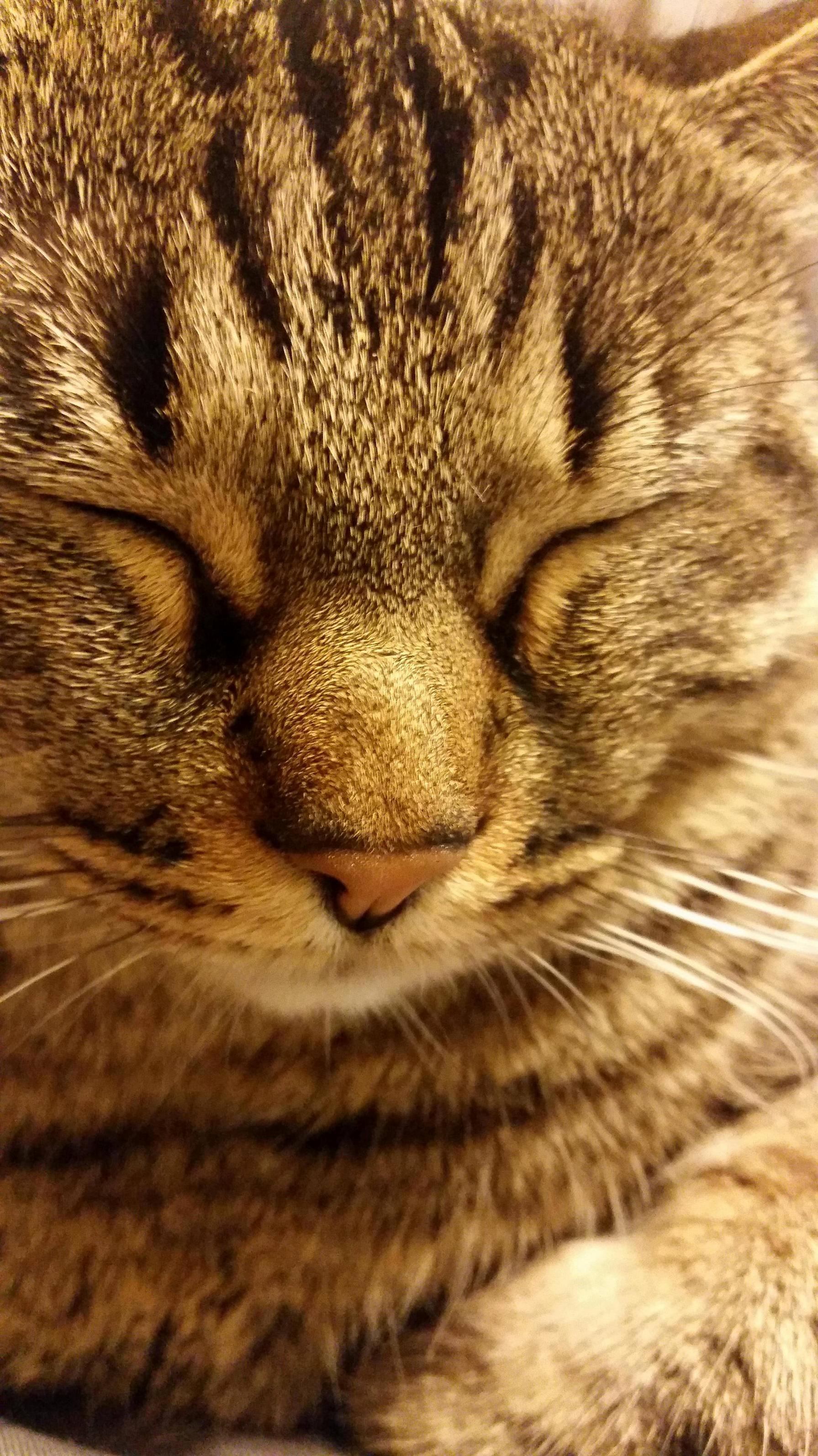 Close Up Gorgeous
