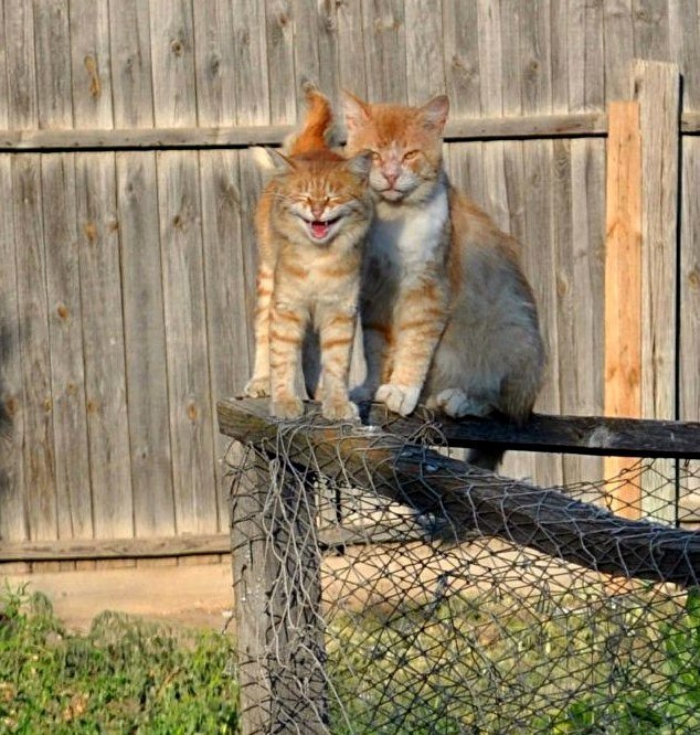 Dad and Son