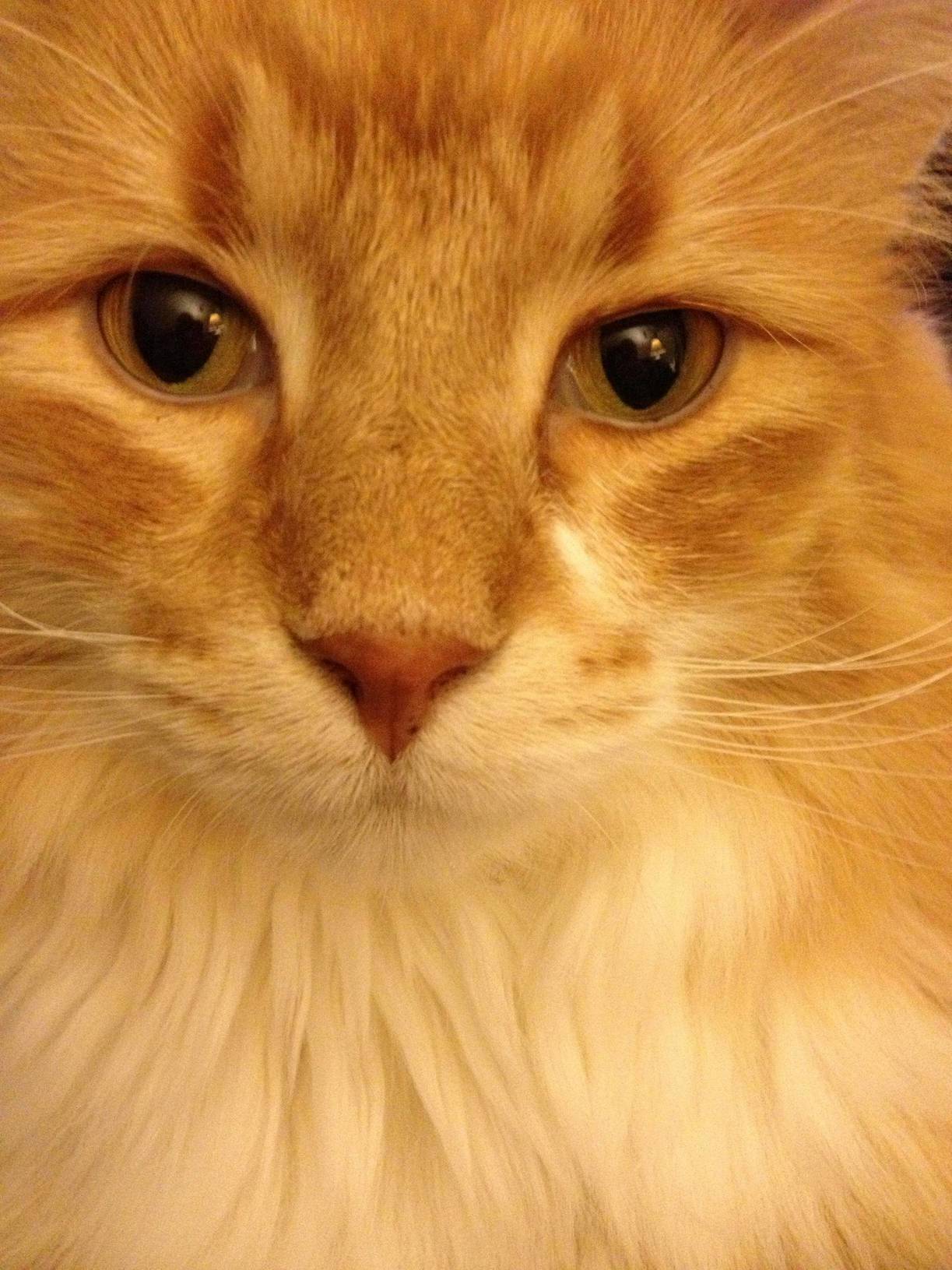 Delightfully Photogenic Boy