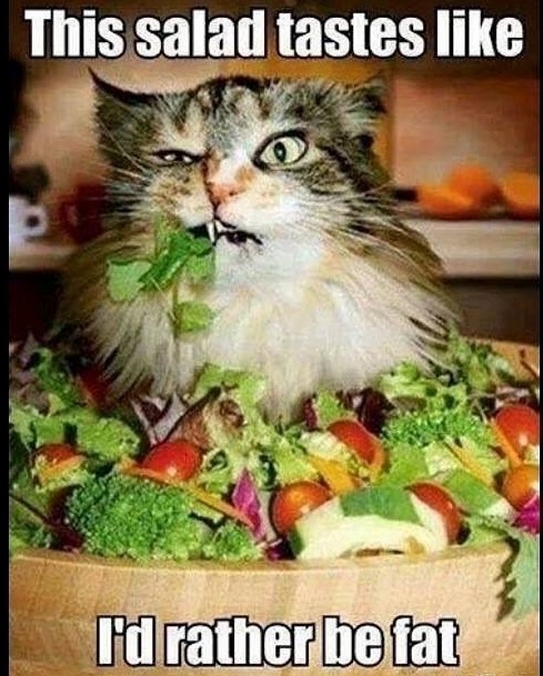 Dieting Is Hard...