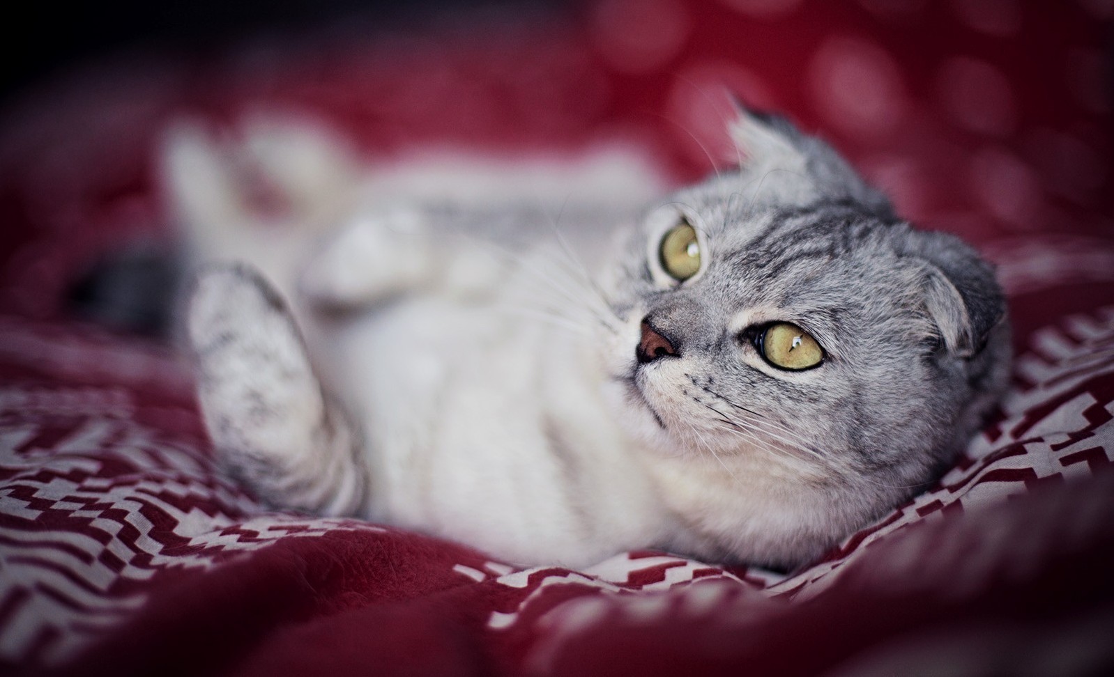 Draw Me Like One of Your French Girls..