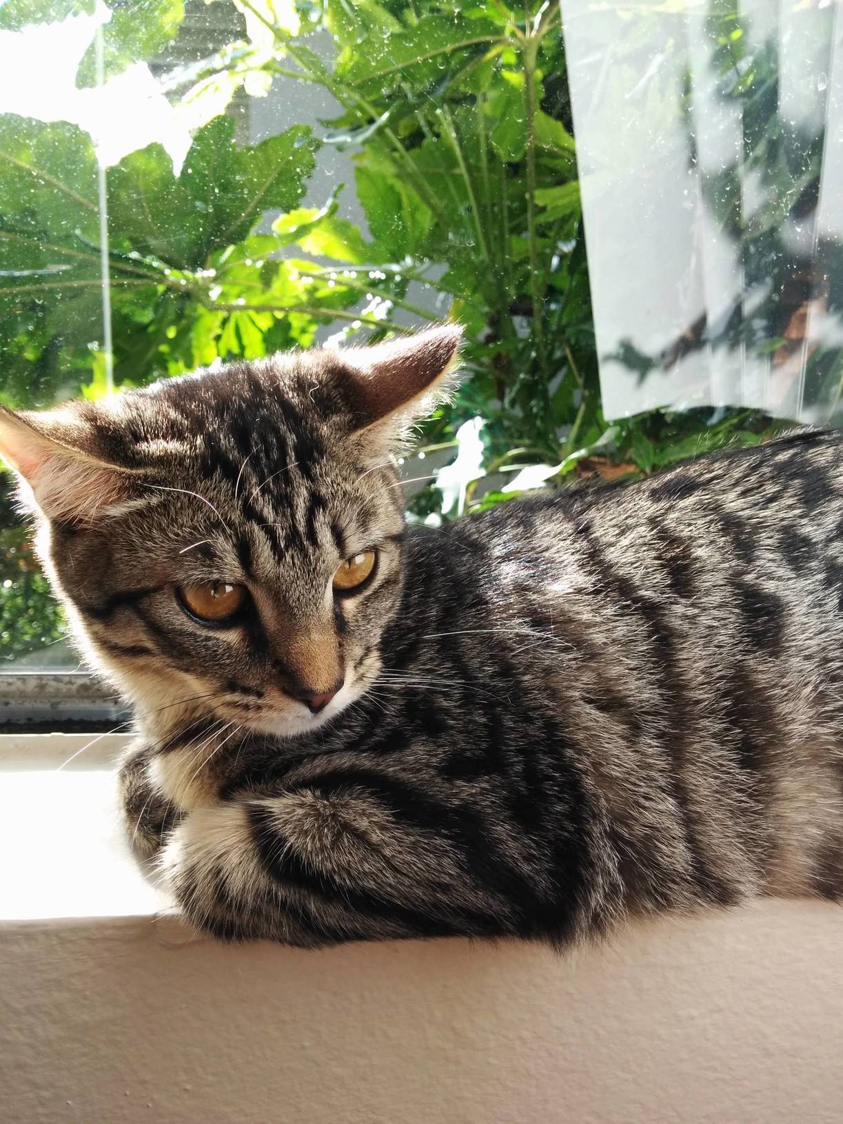 Enjoying the Morning Sun