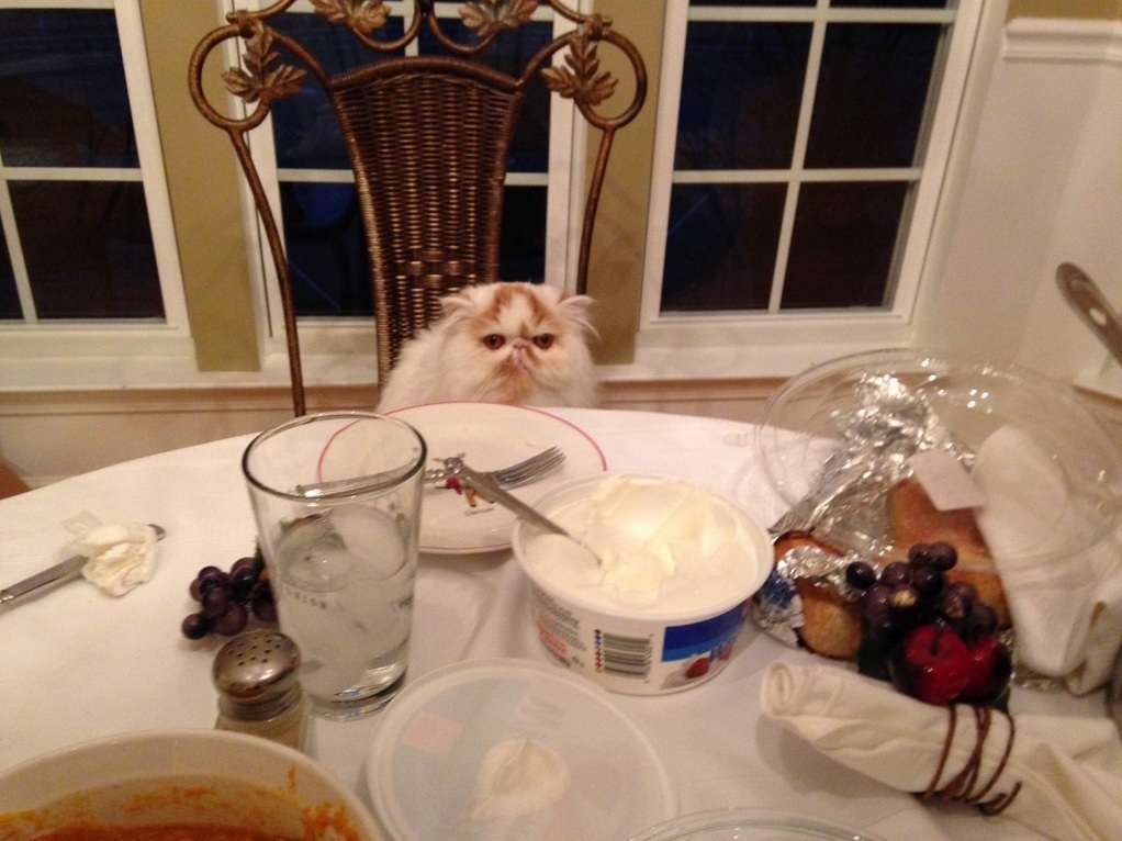 Every Guest Enjoyed the Meal Tonight.
