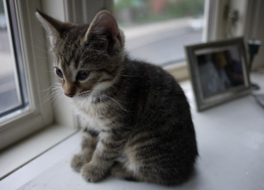 First Day I a New Home a Few Years Back