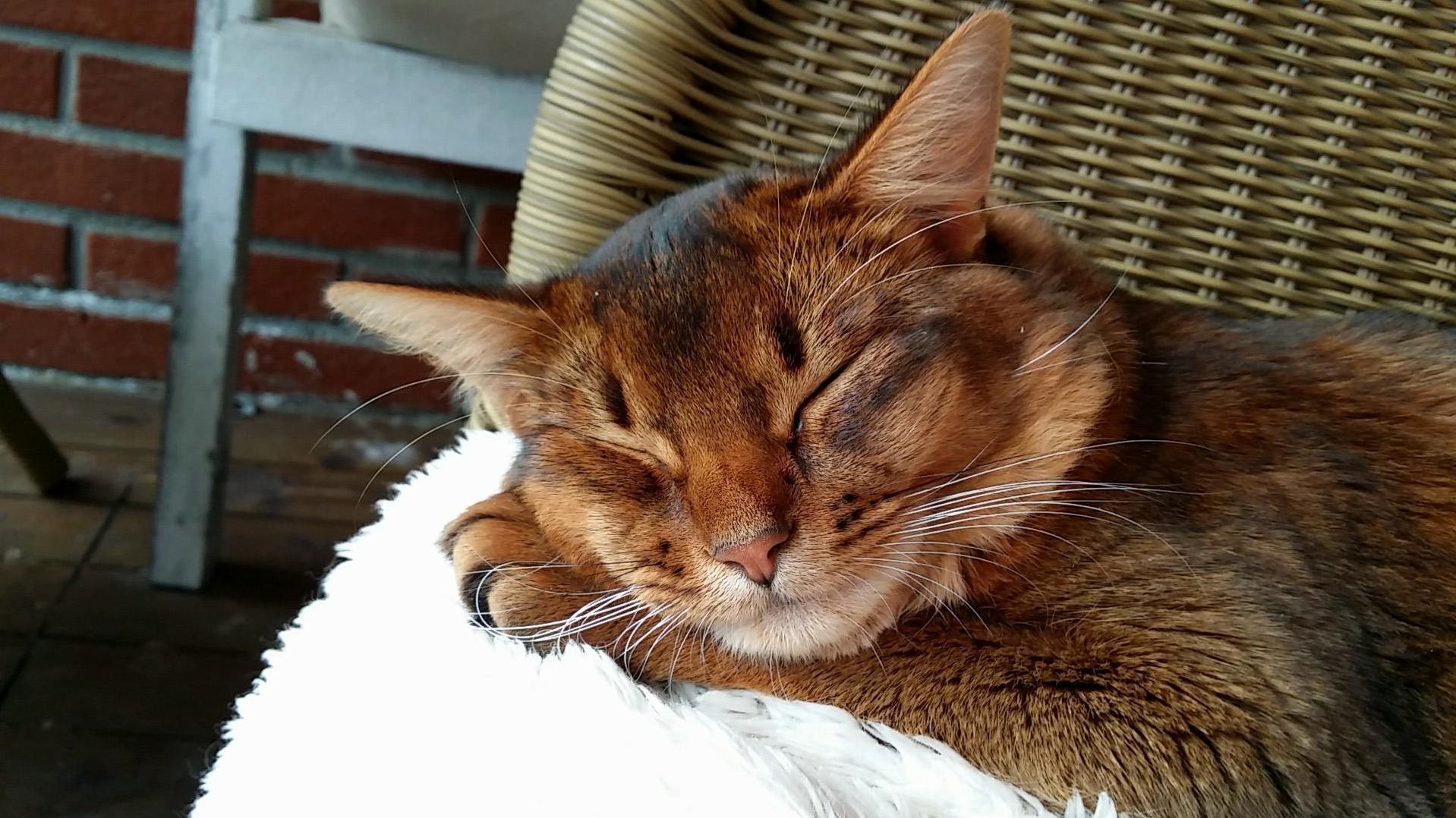 Gp Relaxing After a Hard Day of Doing Nothing.