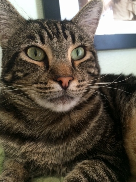 Gus Being Handsome.