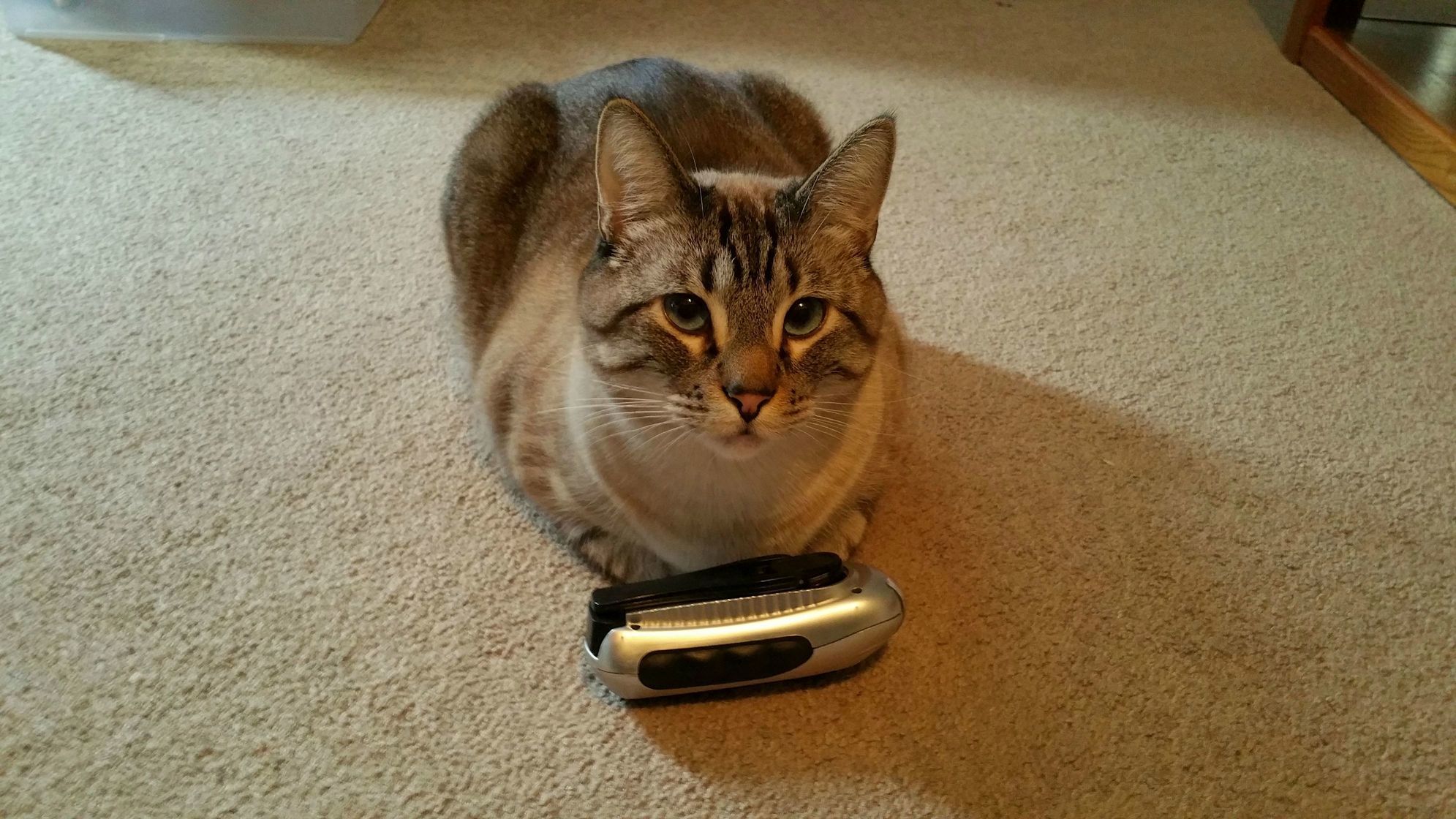 He Always Lays by His Emergency Flashlight. You Know in Case of Emergencies.