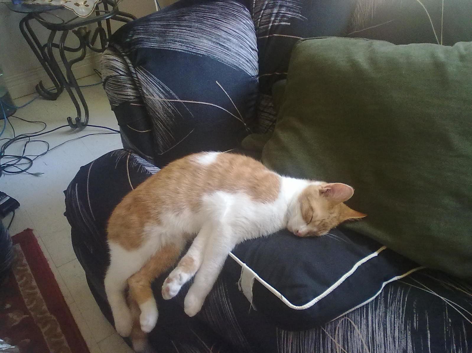 He Ll Fall Asleep Anywhere