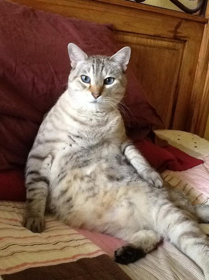 He Thinks Hes People