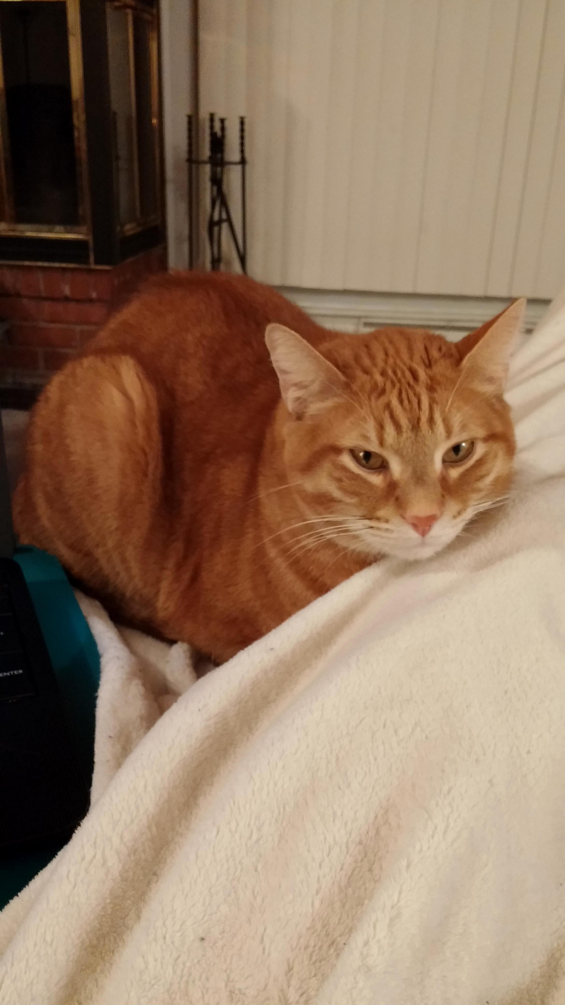 He Used to Only Like My Husband. After 7 Years He Finally Likes Me