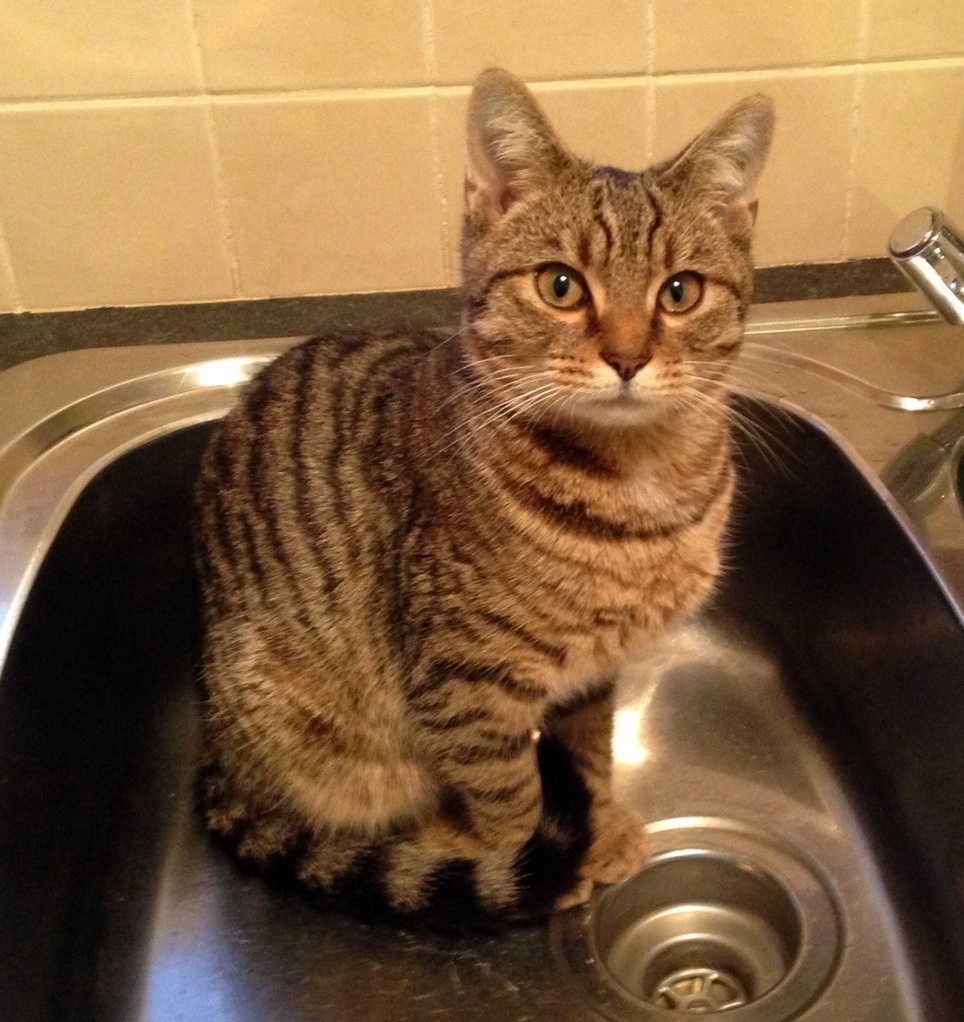 He Went Missing for 5 Nights Got Him Back Yesterday-relief