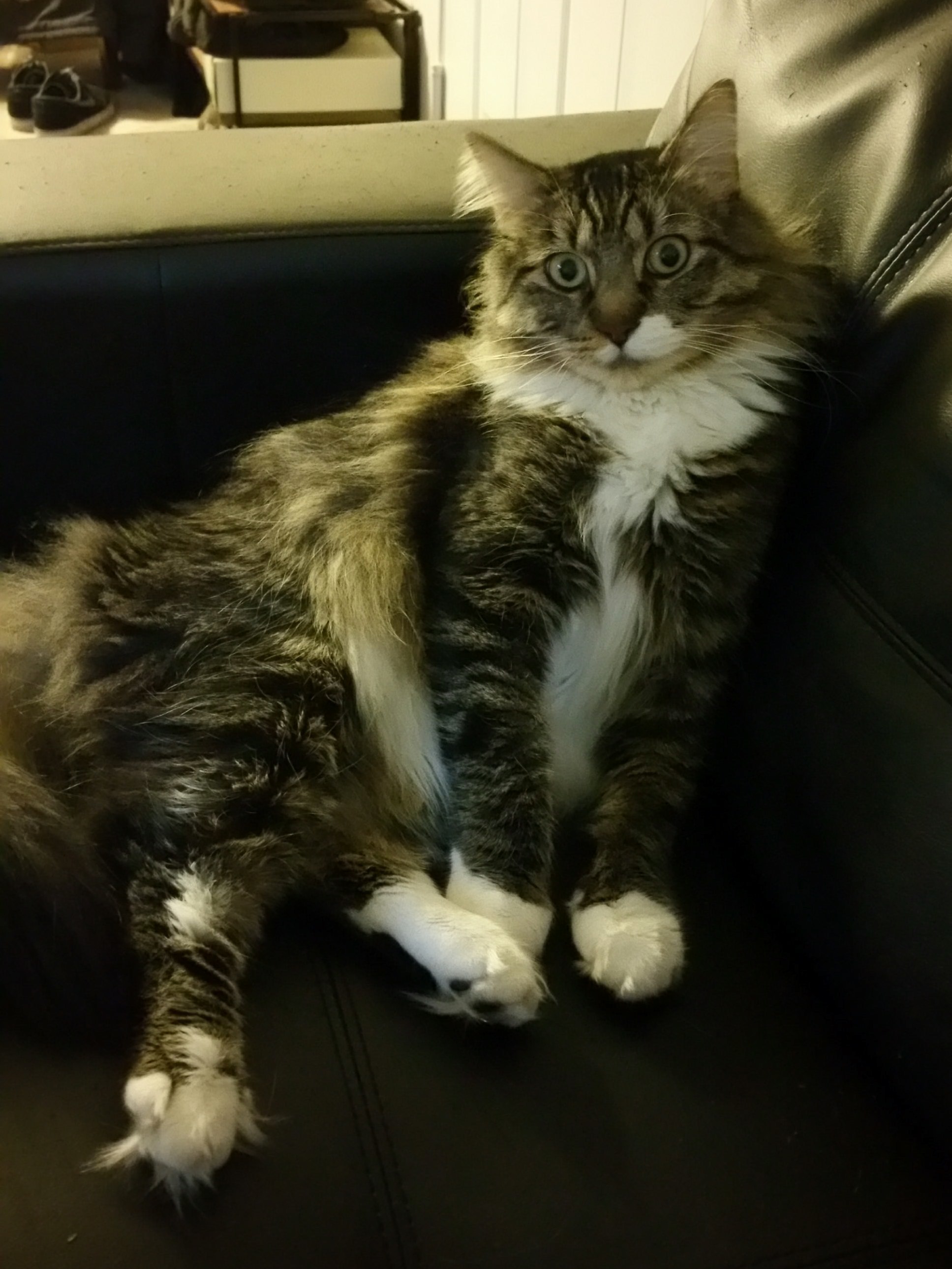 Hes a Little Flirtatious...