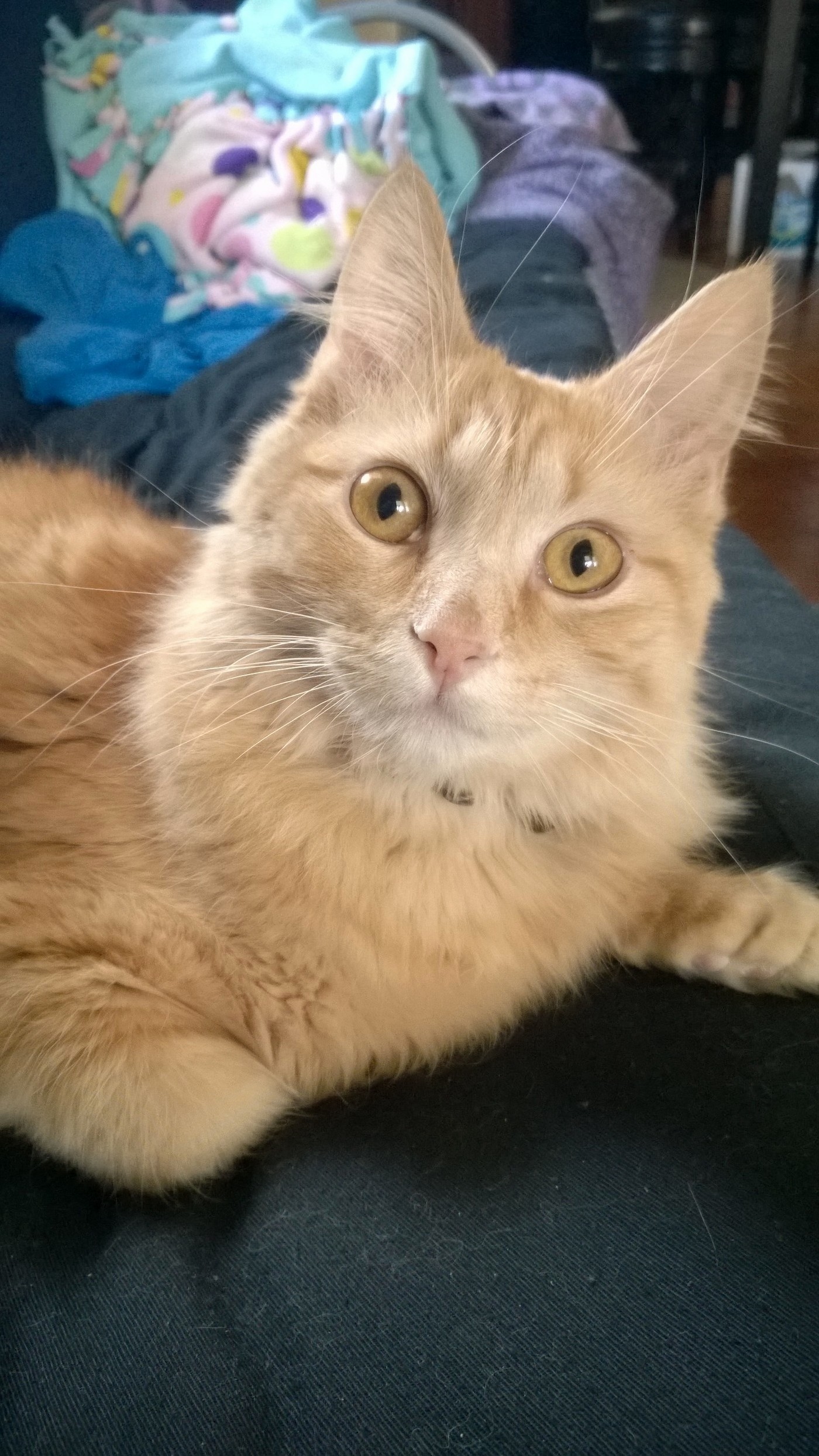 Hes a Lot Bigger Since the Last Time I Posted His Picture