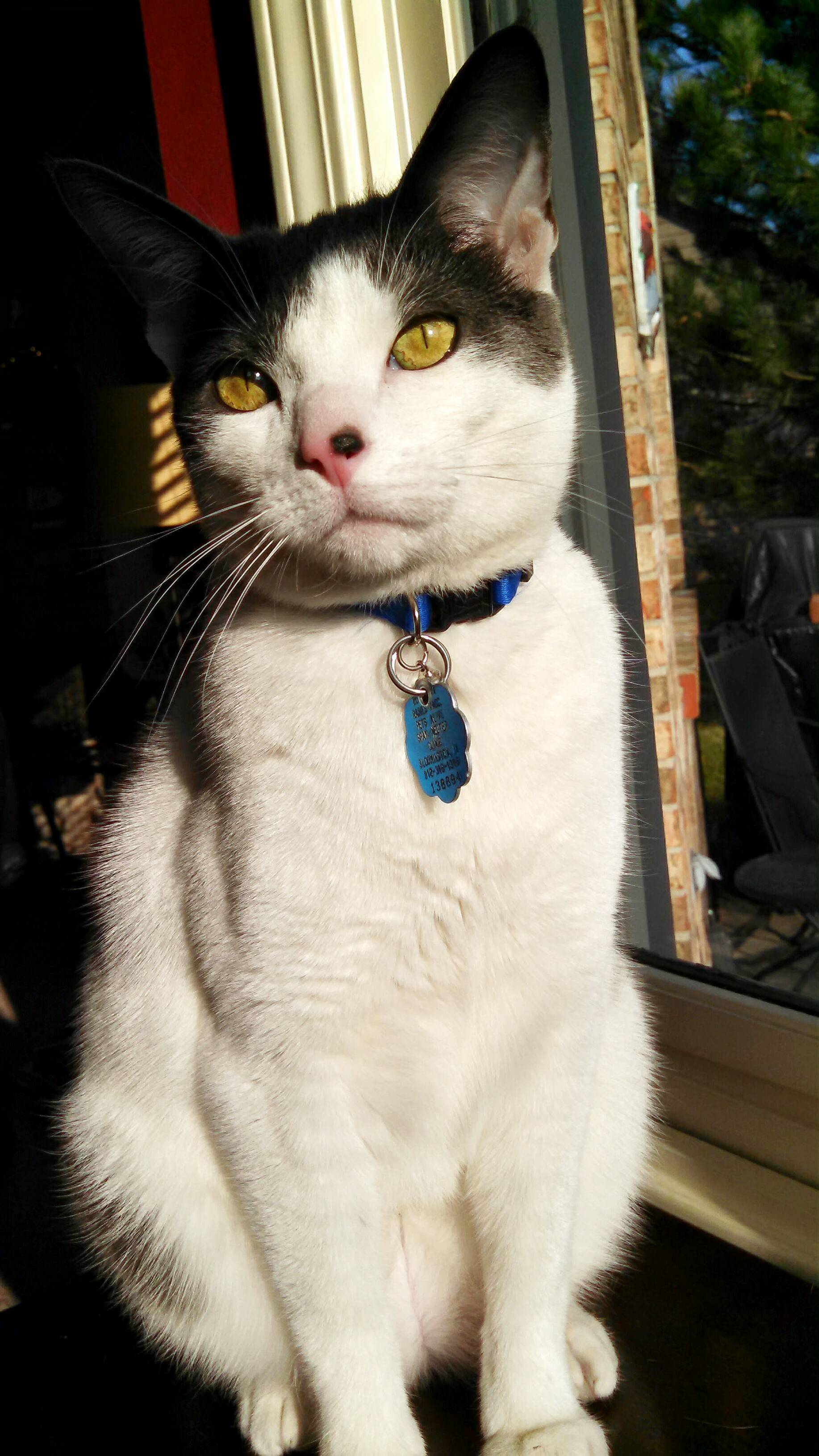 Hes Looking Rather Dapper Today