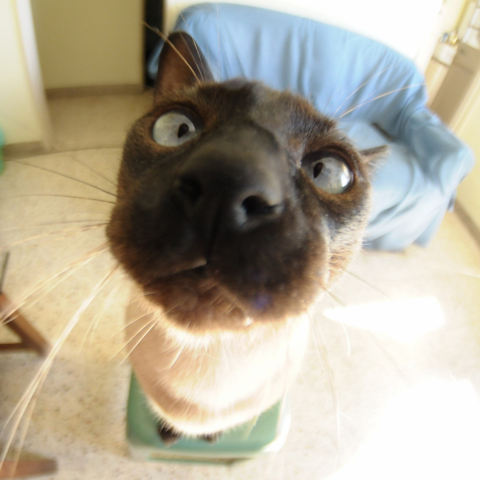 Hi Im Dori... I Have Six Years Old.