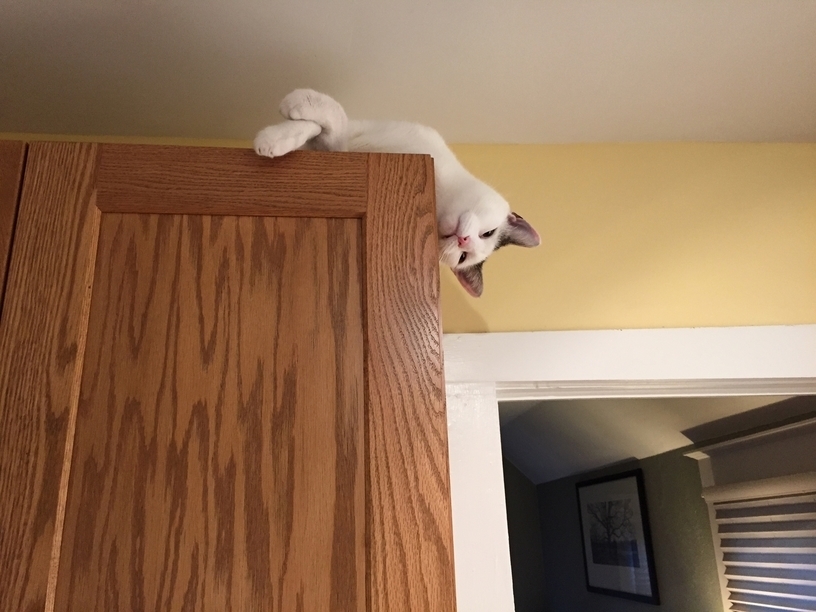High Up and Upside Down Is the Only Way to Be.