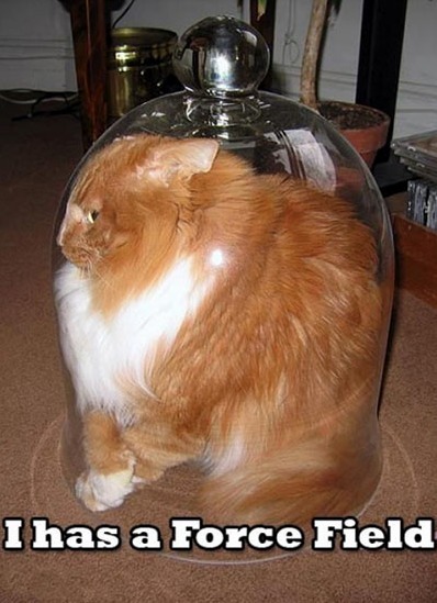I Have a Forcefield Bump 0.o