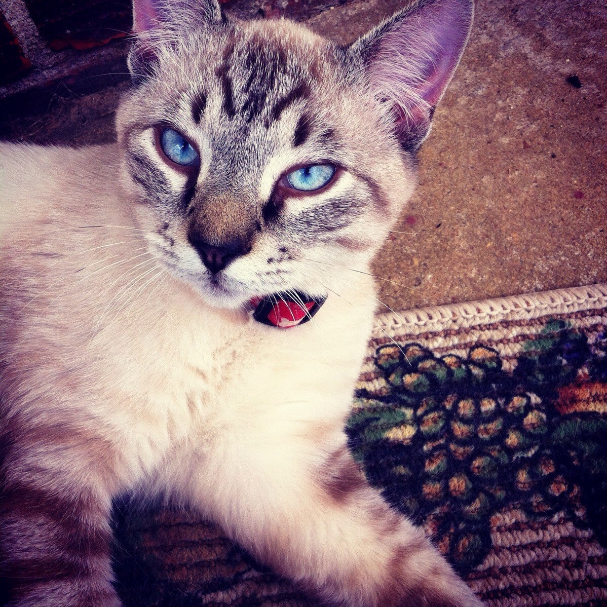 I Just Want Everyone to Experience His Beauty.