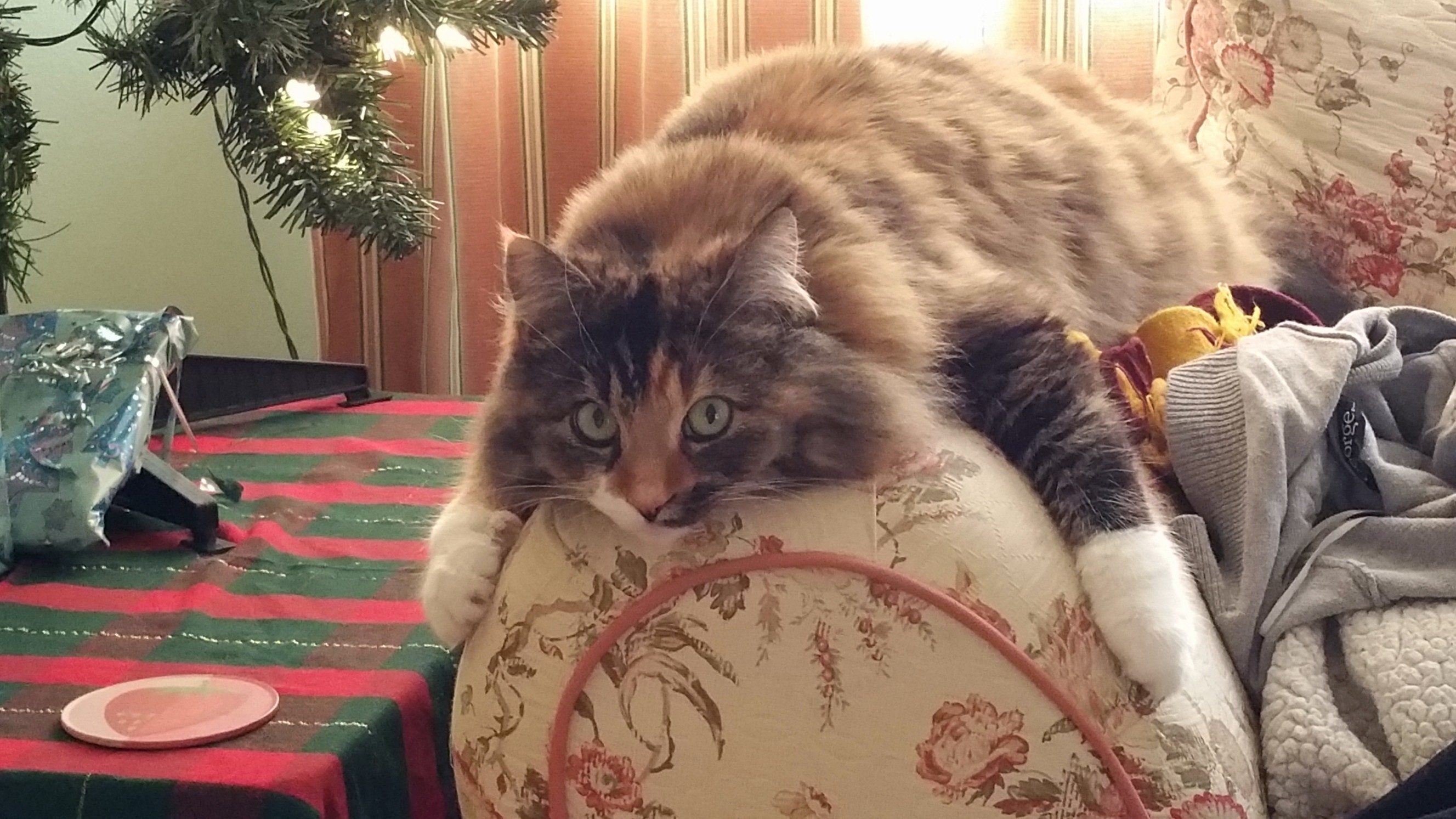 I Love Couch