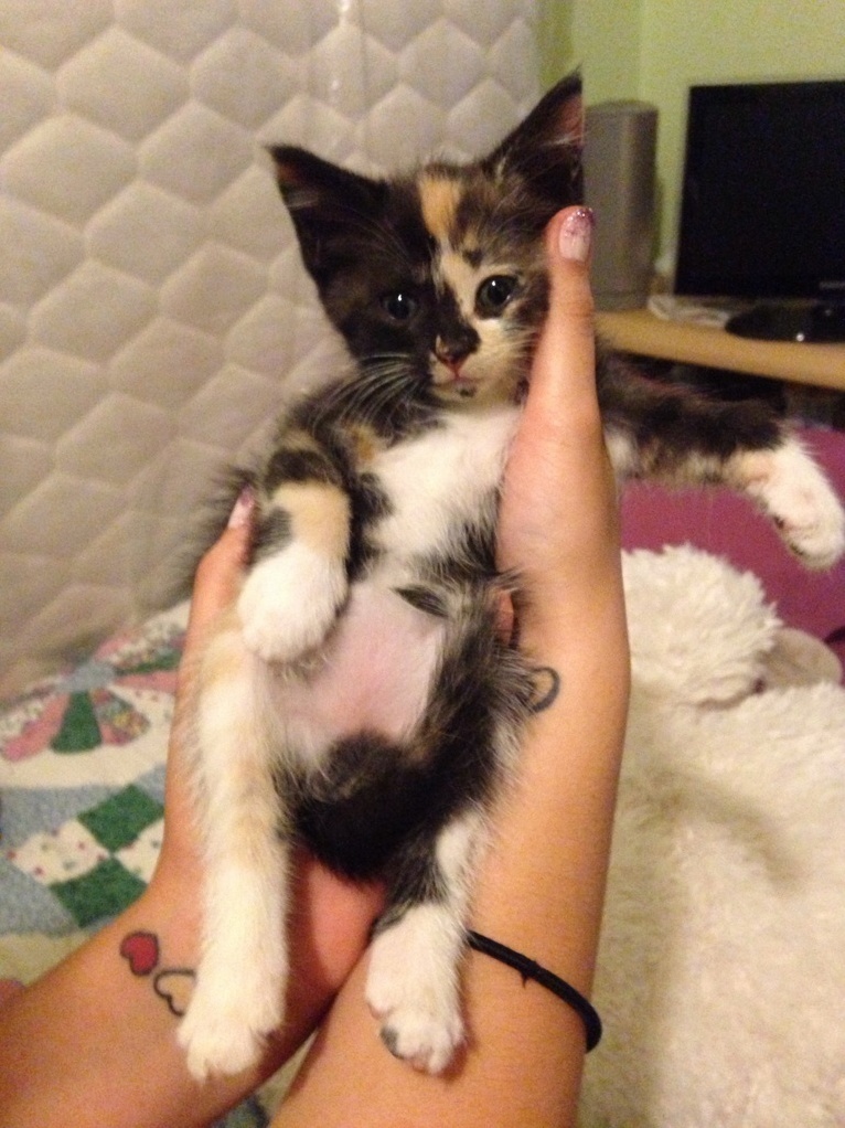 If You Could Just Stay This Size Forever Thatd Be Great.