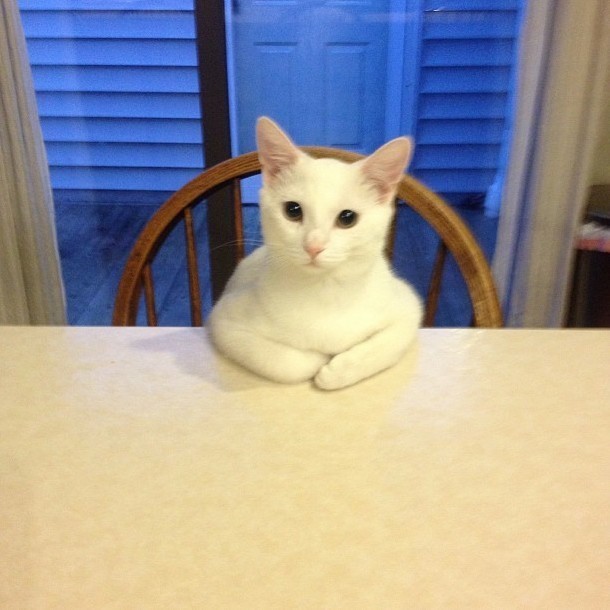 Im Hungry