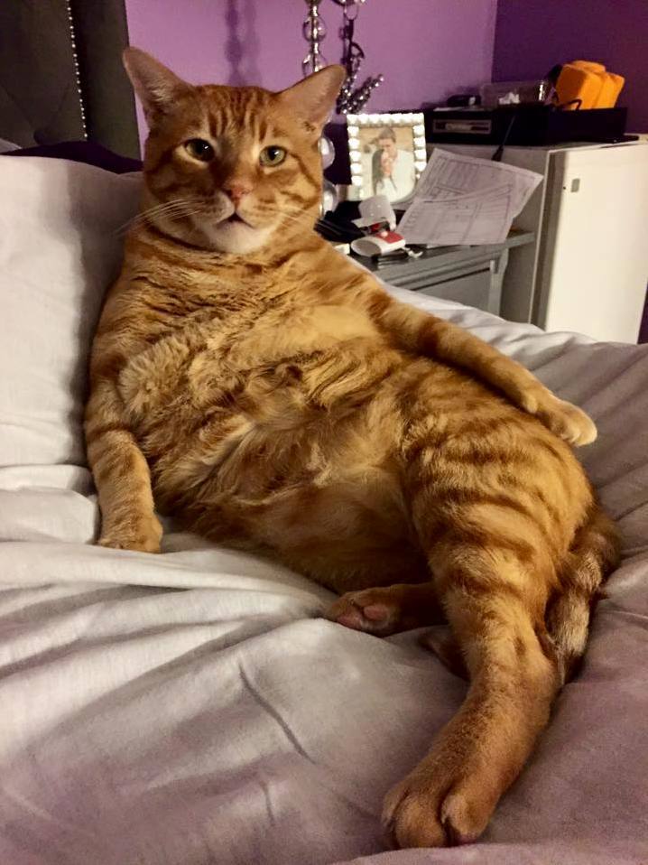 Im So Sexy Ha
