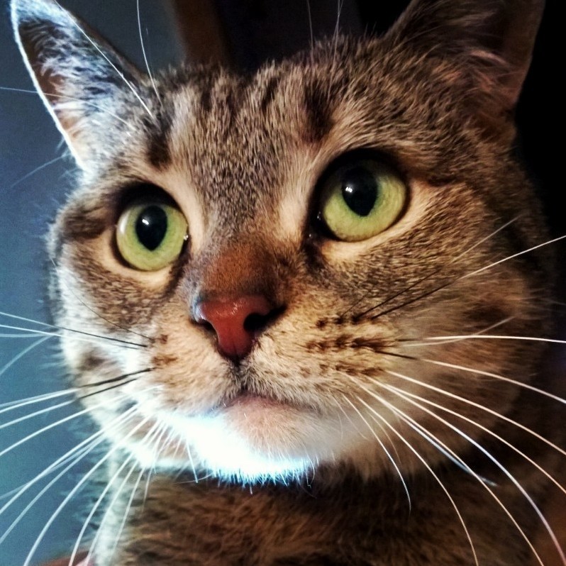 Killian Is Very Pretty.
