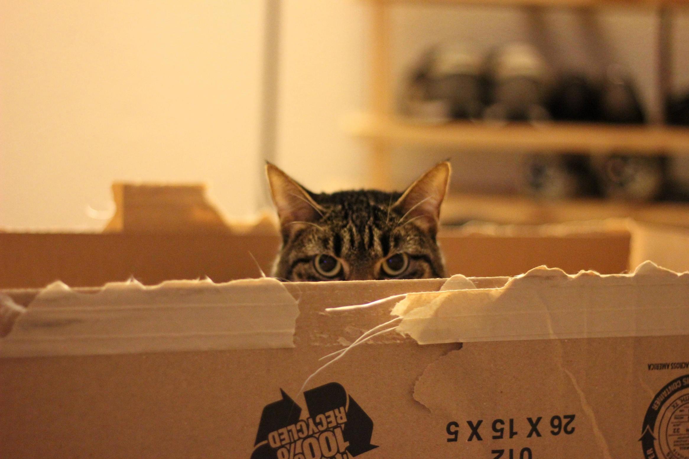 Leave the Box and Go....