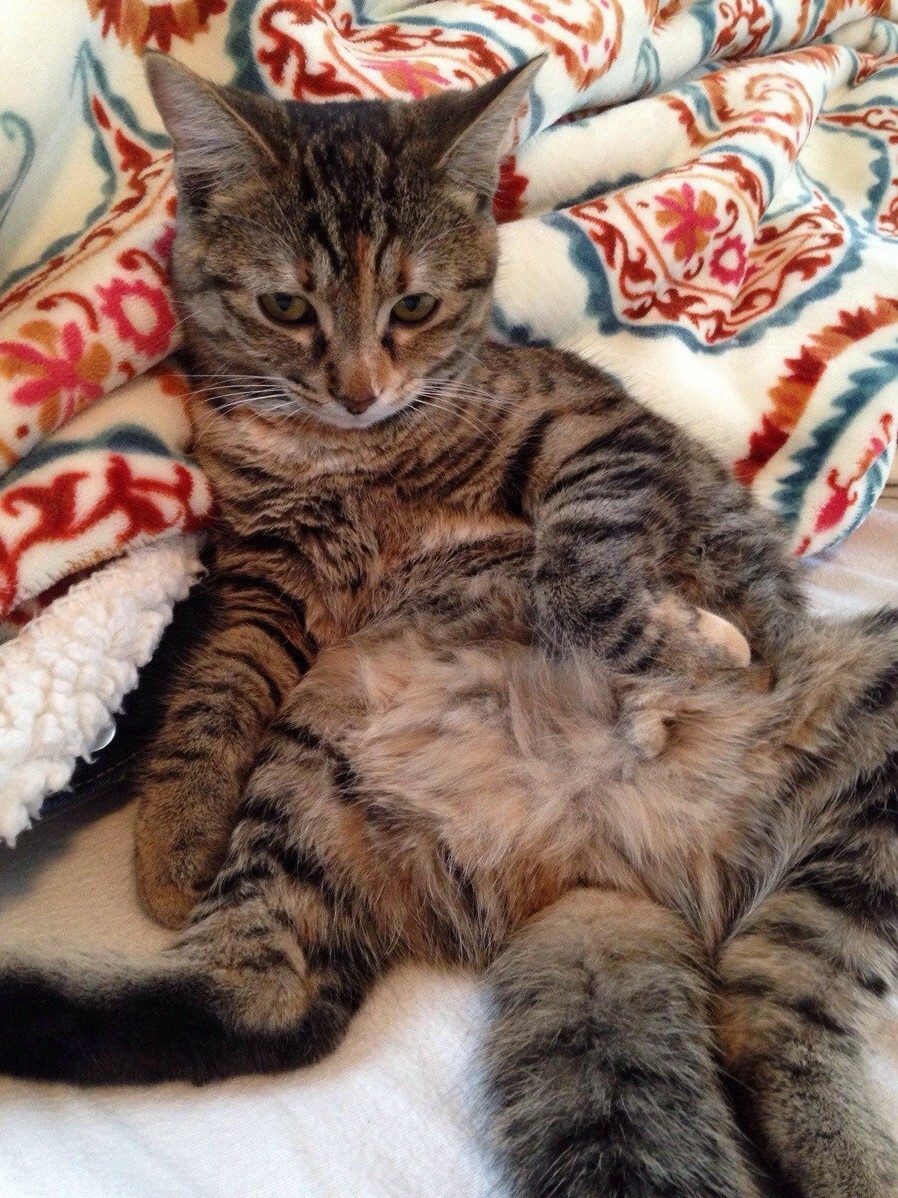 Little Lady Not Sitting So Lady-like.