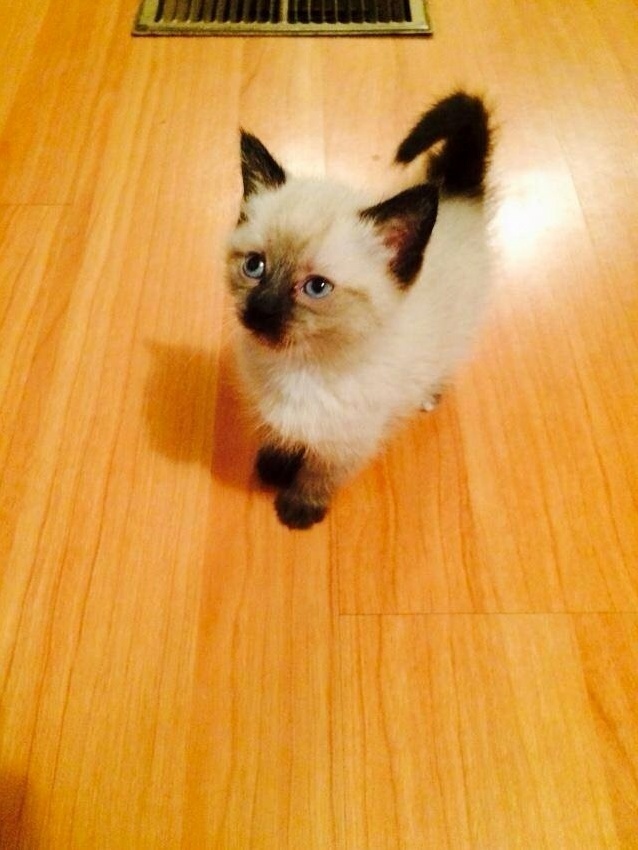 Look What I Got to Pick Up Today No Name Yet but She Is Beautiful