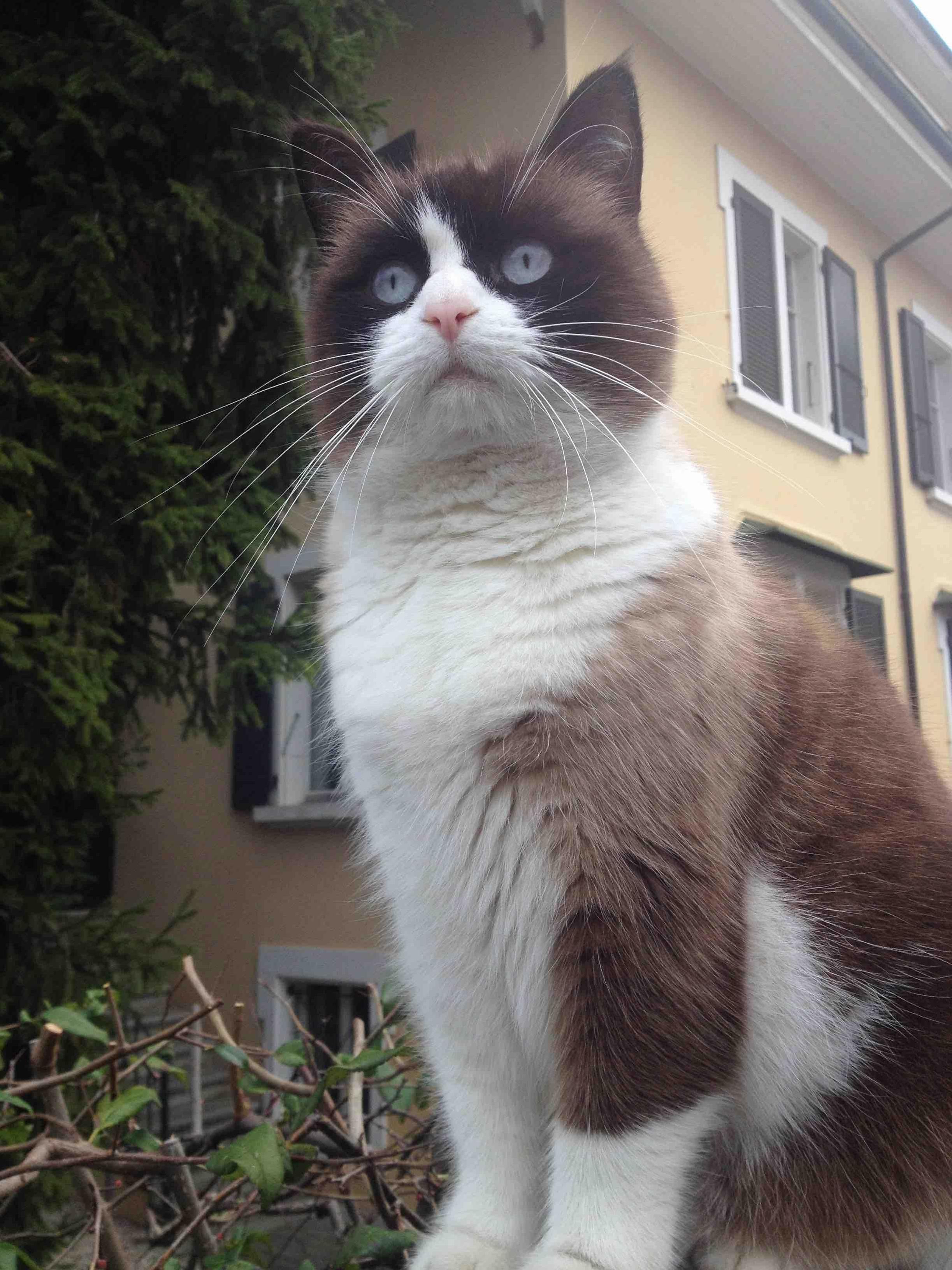 Making New Friends in the Neighborhood