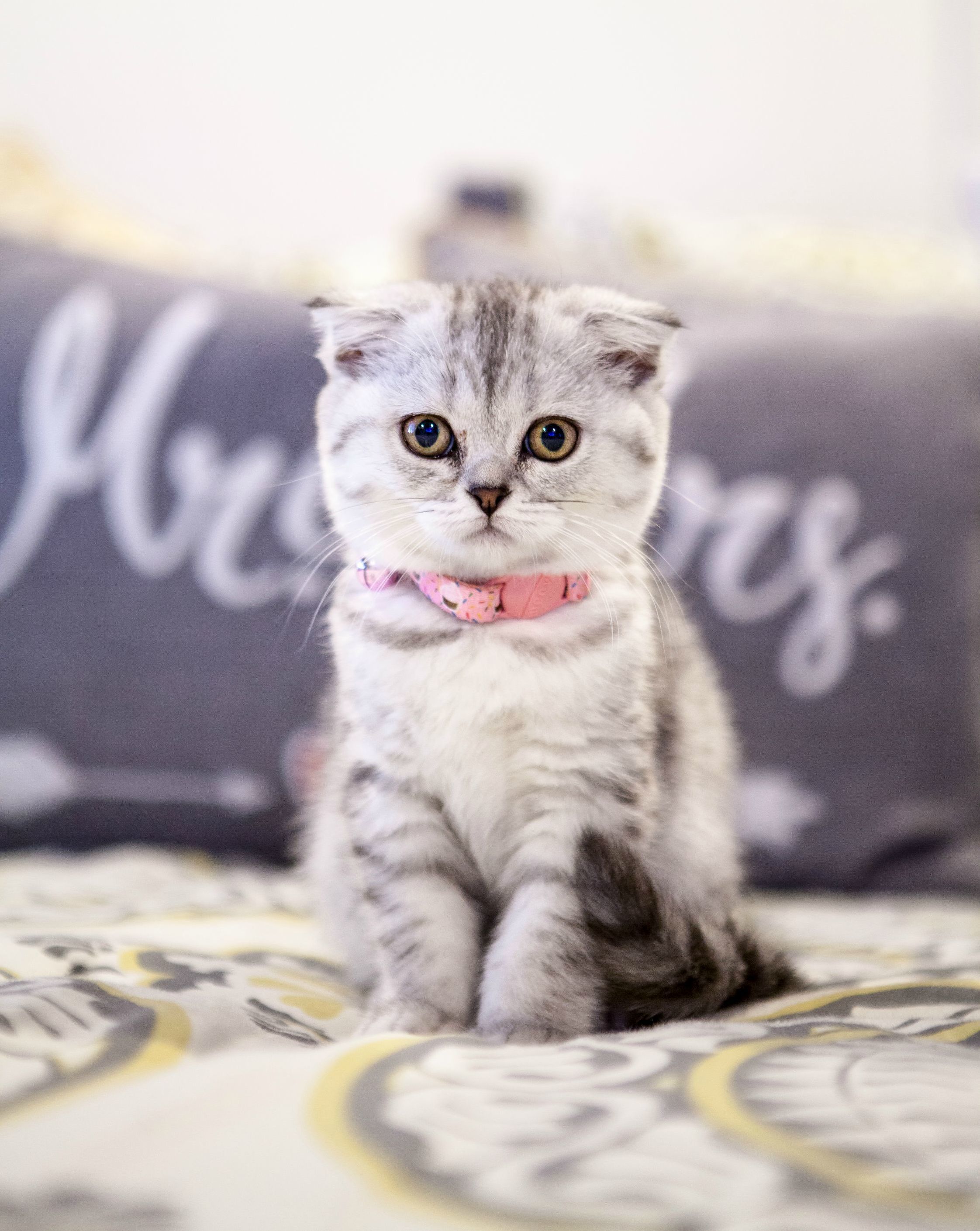 Meet Emma