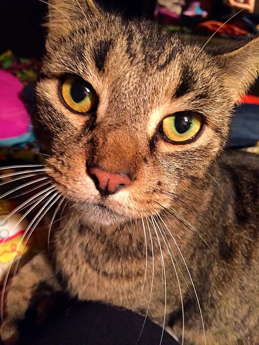My Best Friend Hes Never Let Me Down
