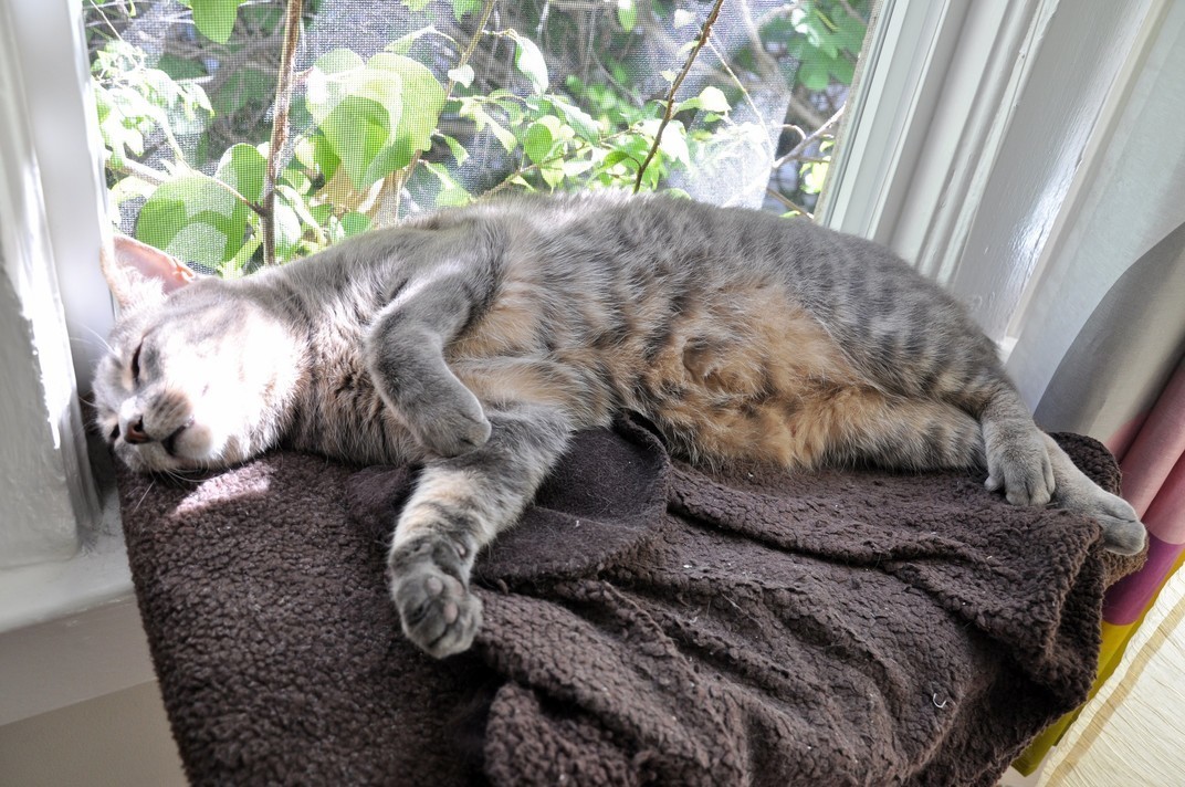 My Handsome Boy Taking a Less-than-pretty Nap
